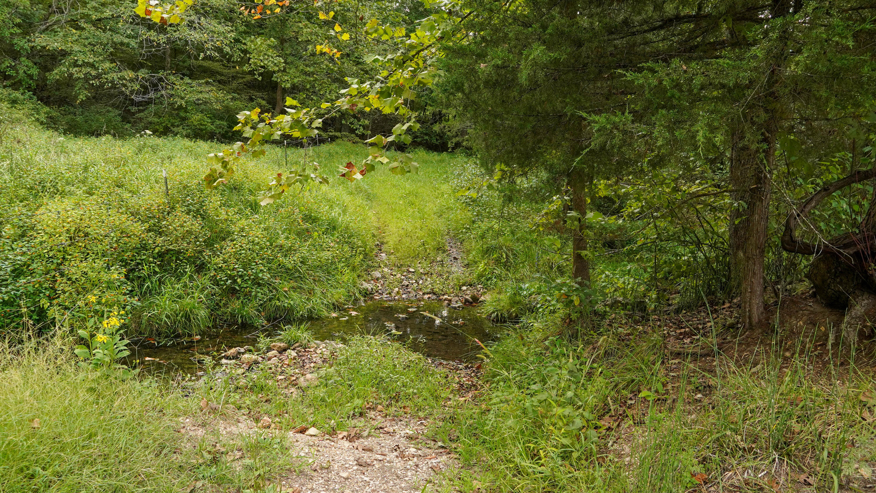000 N State Highway 7 Property Photo 75