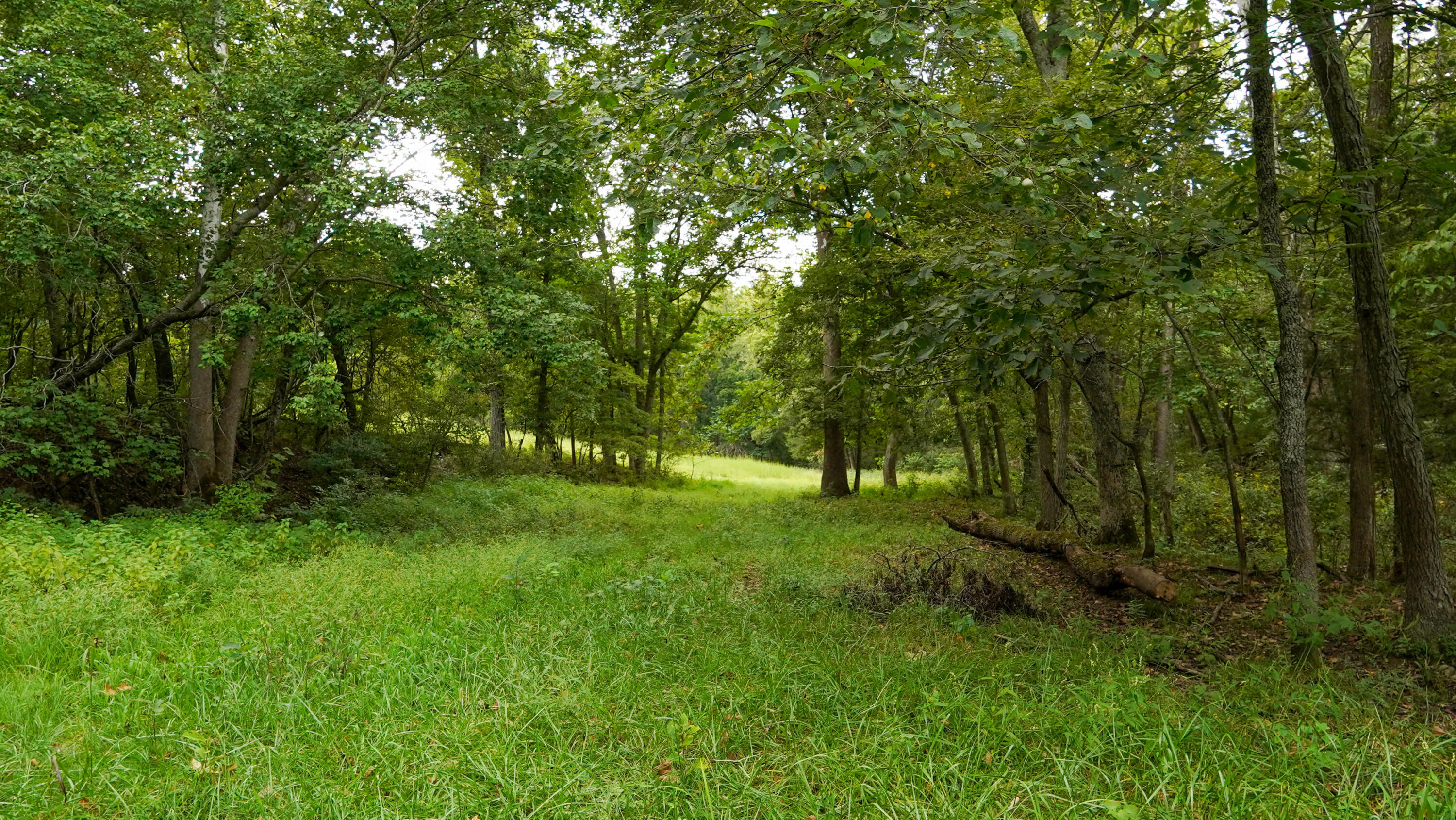 000 N State Highway 7 Property Photo 76