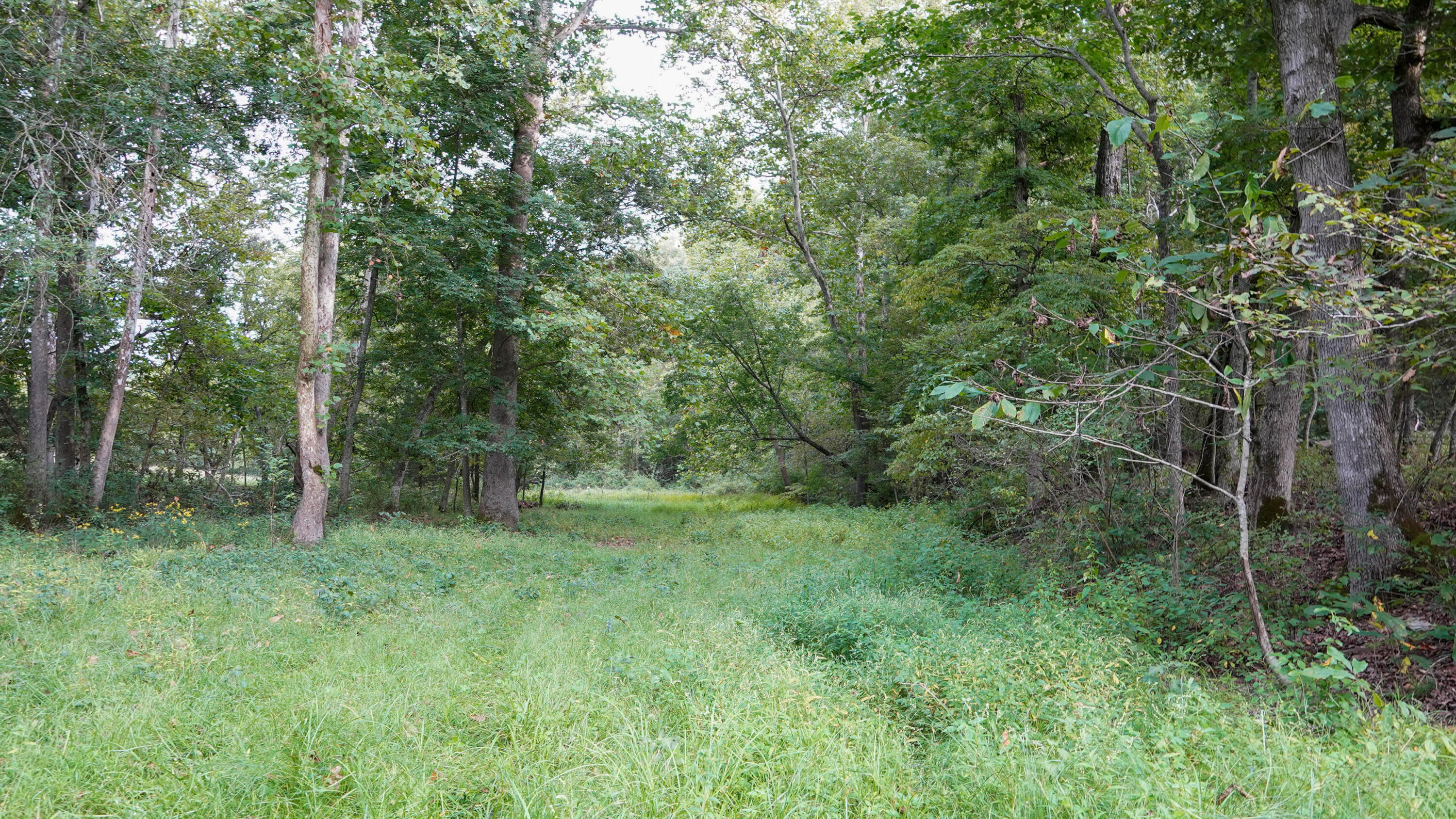 000 N State Highway 7 Property Photo 77