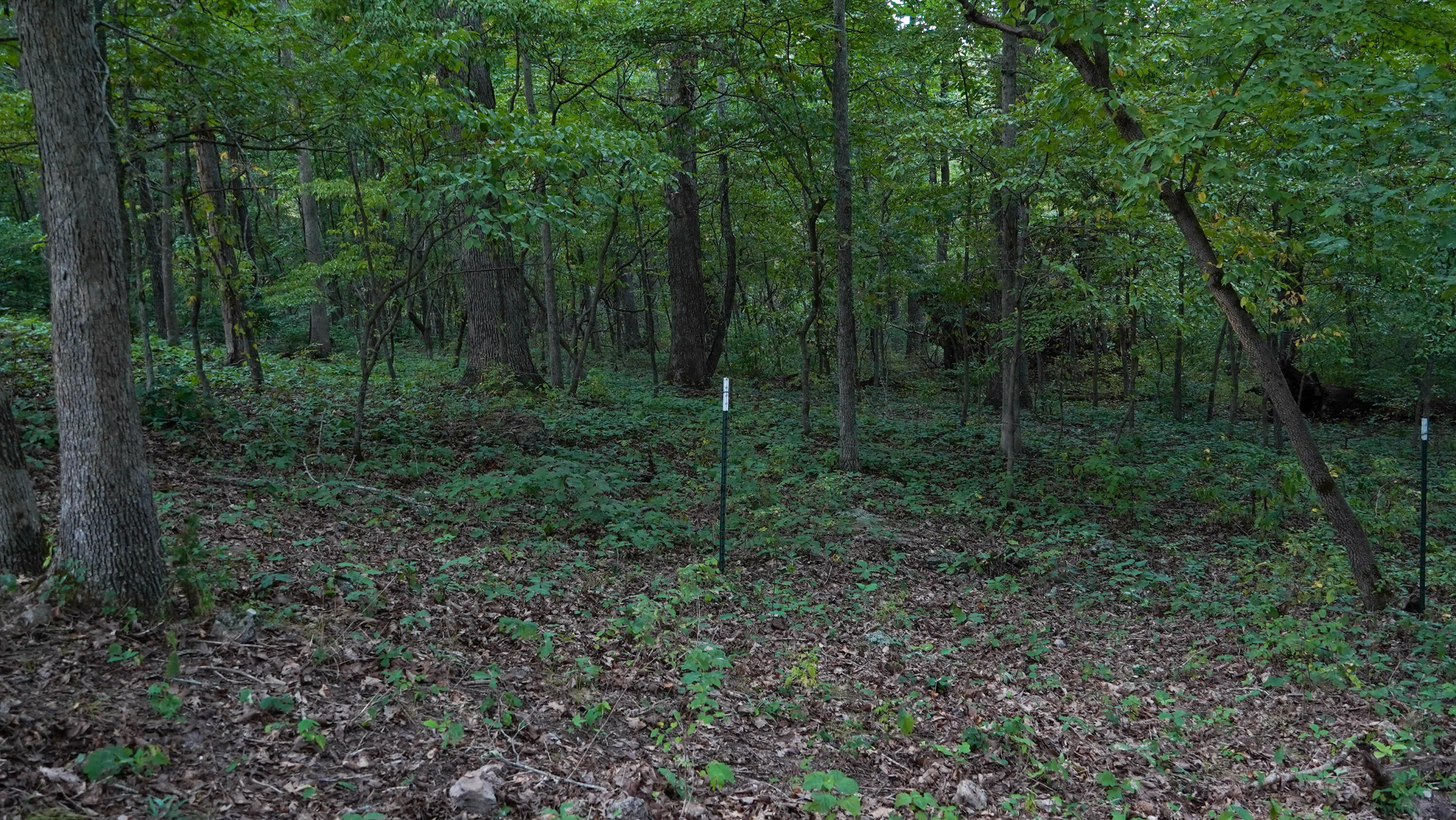000 N State Highway 7 Property Photo 79