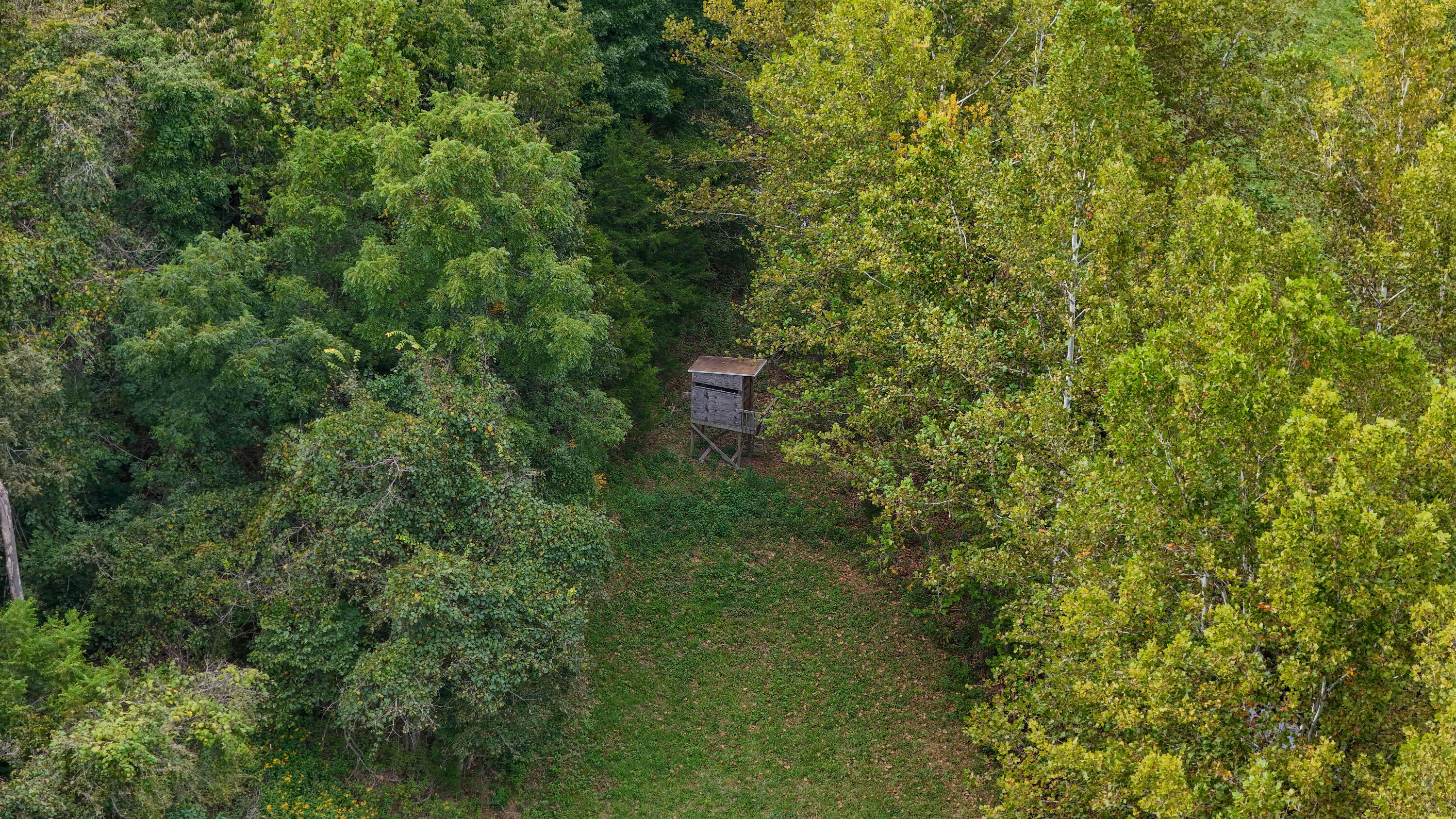 000 N State Highway 7 Property Photo 93
