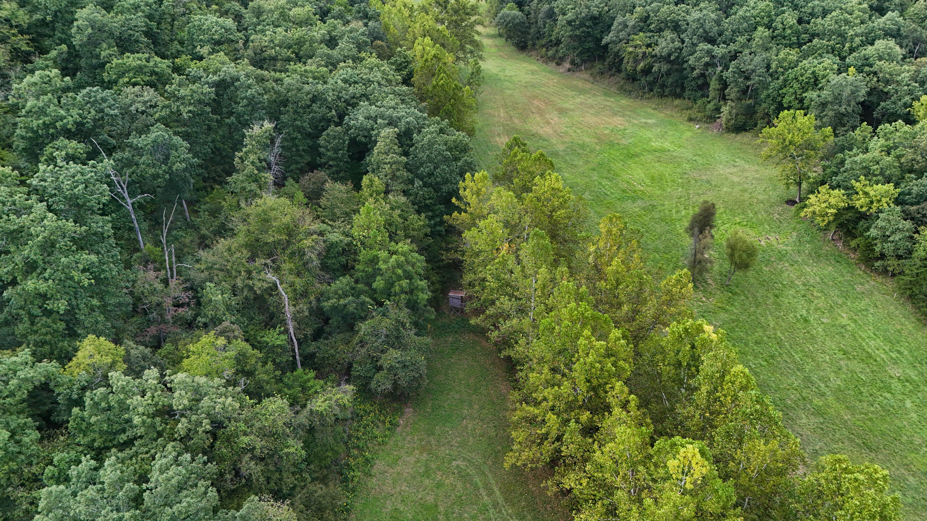 000 N State Highway 7 Property Photo 94