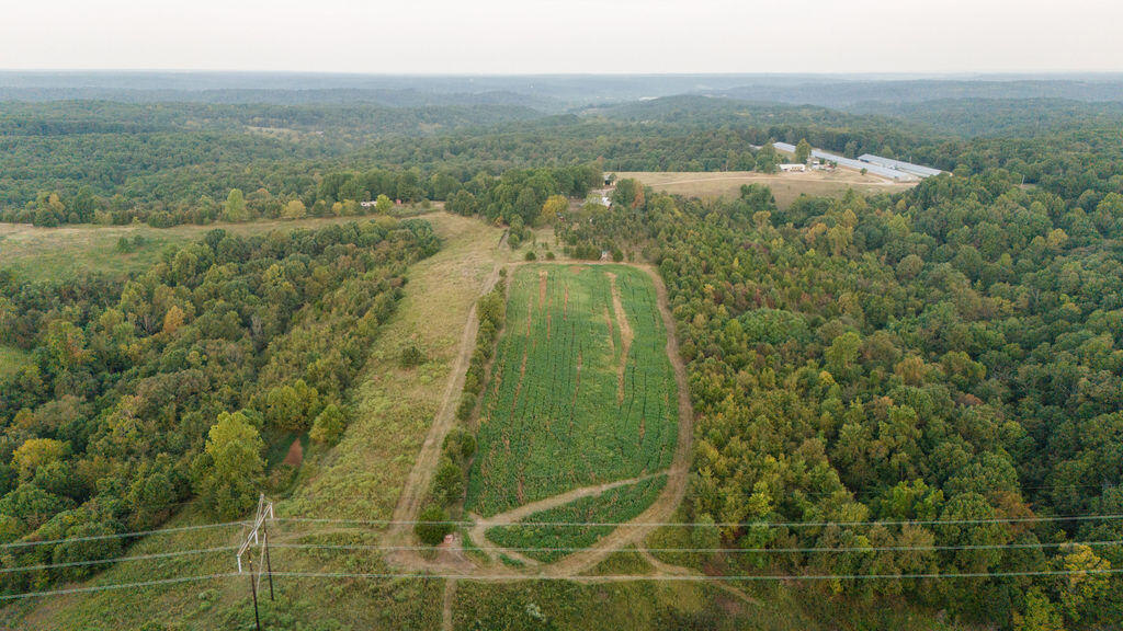 0000 Low Gap Road Property Photo 6