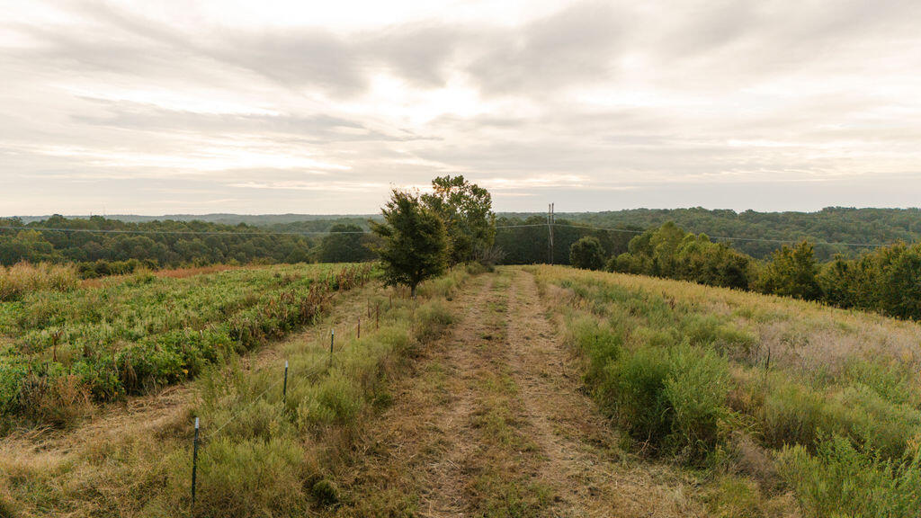 0000 Low Gap Road Property Photo 11