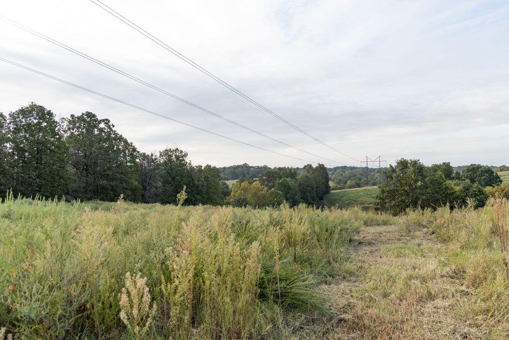 0000 Low Gap Road Property Photo 14