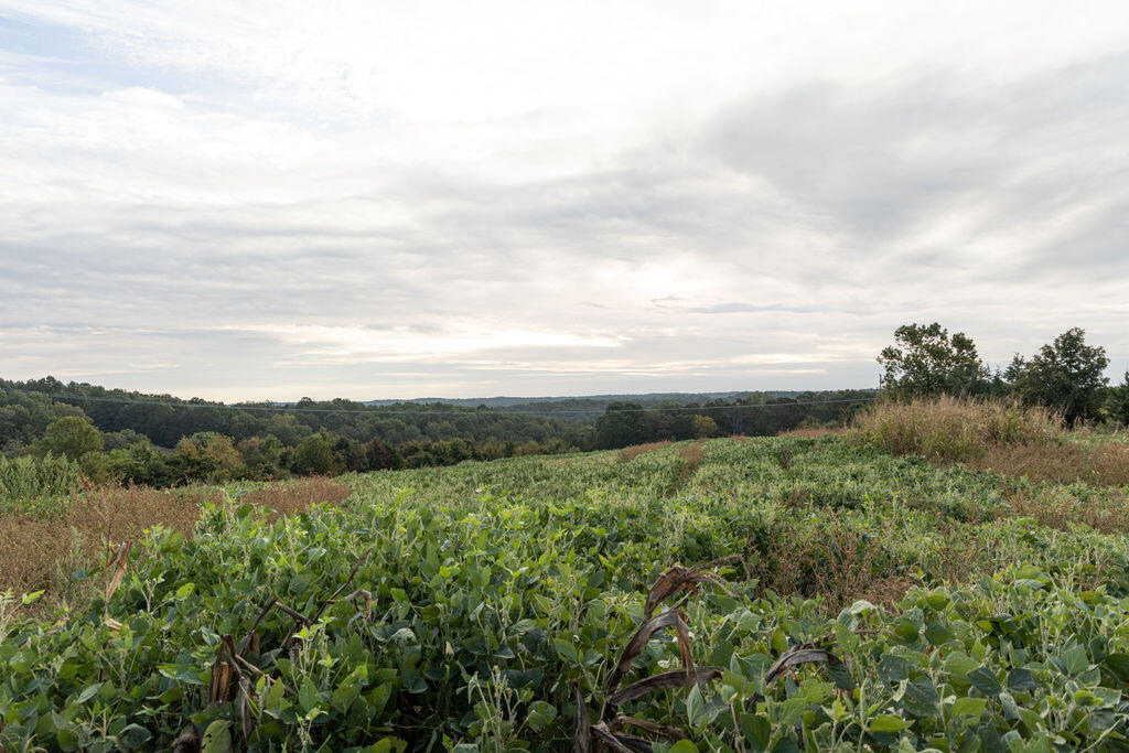 0000 Low Gap Road Property Photo 18
