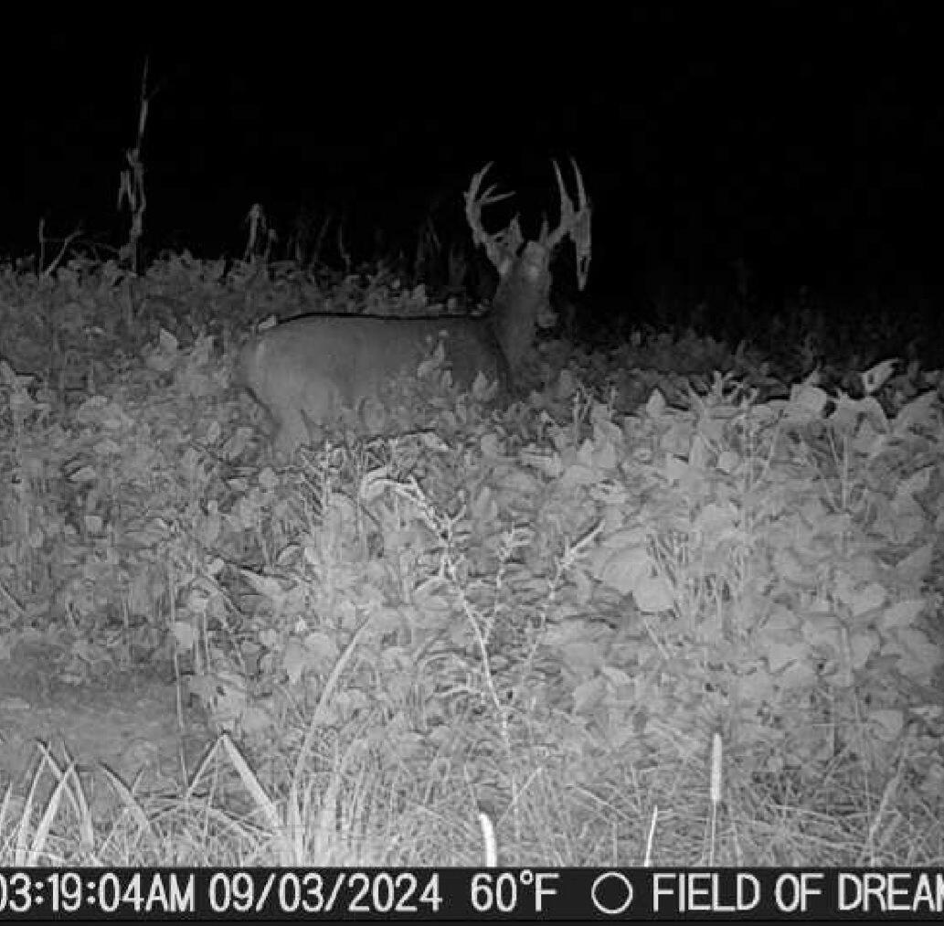0000 Low Gap Road Property Photo 24