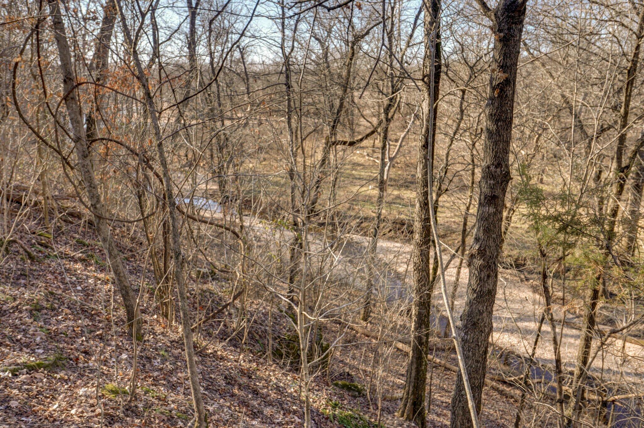 4445 State Hwy Jj Property Photo 22