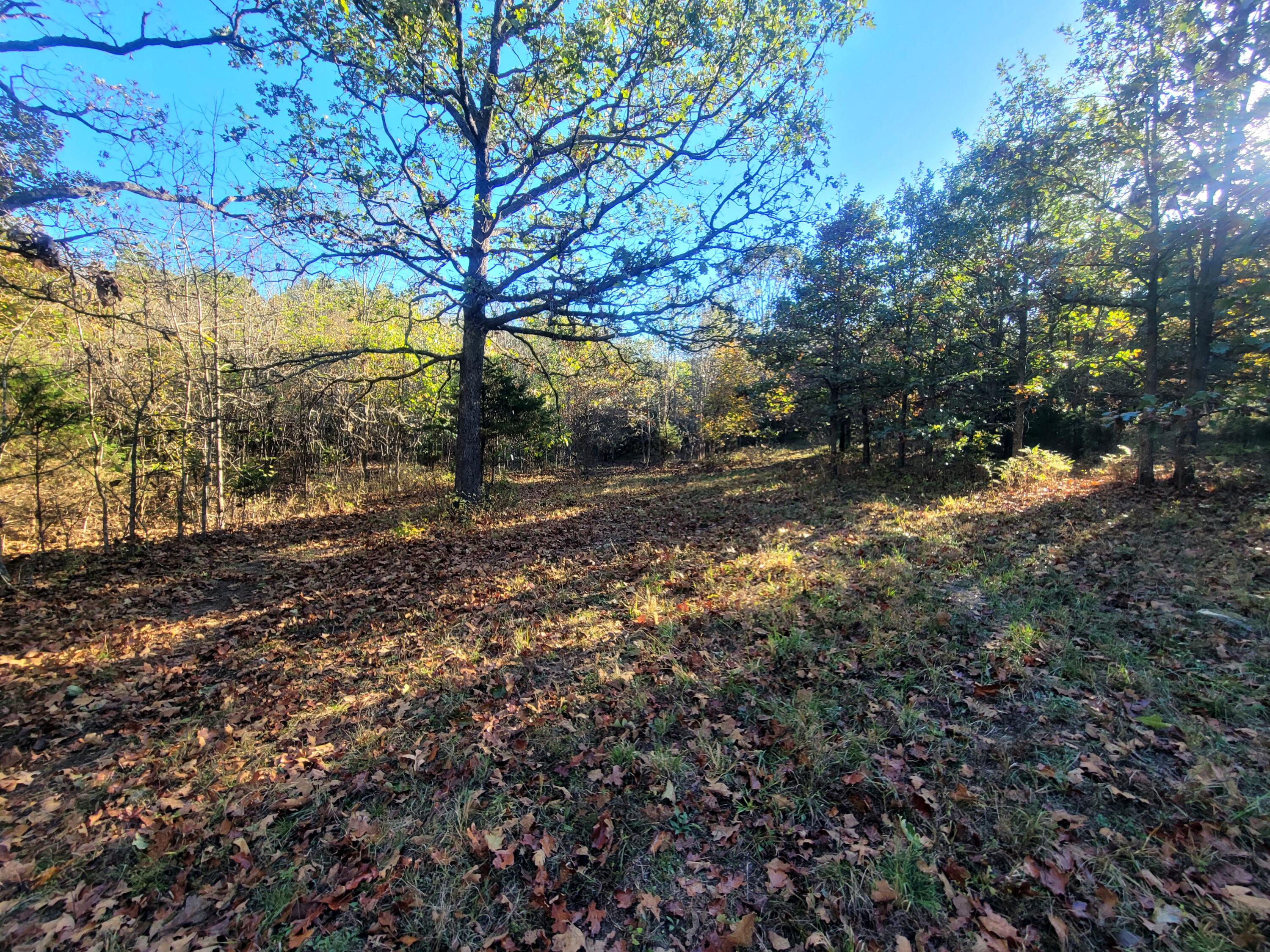 3121 South 25th Road Property Photo 7