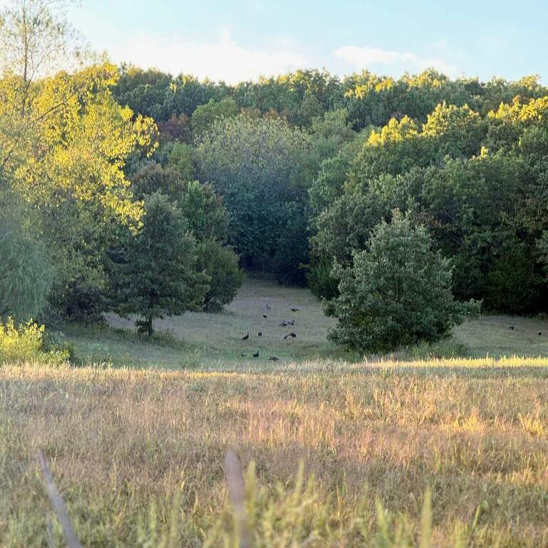 3121 South 25th Road Property Photo 10