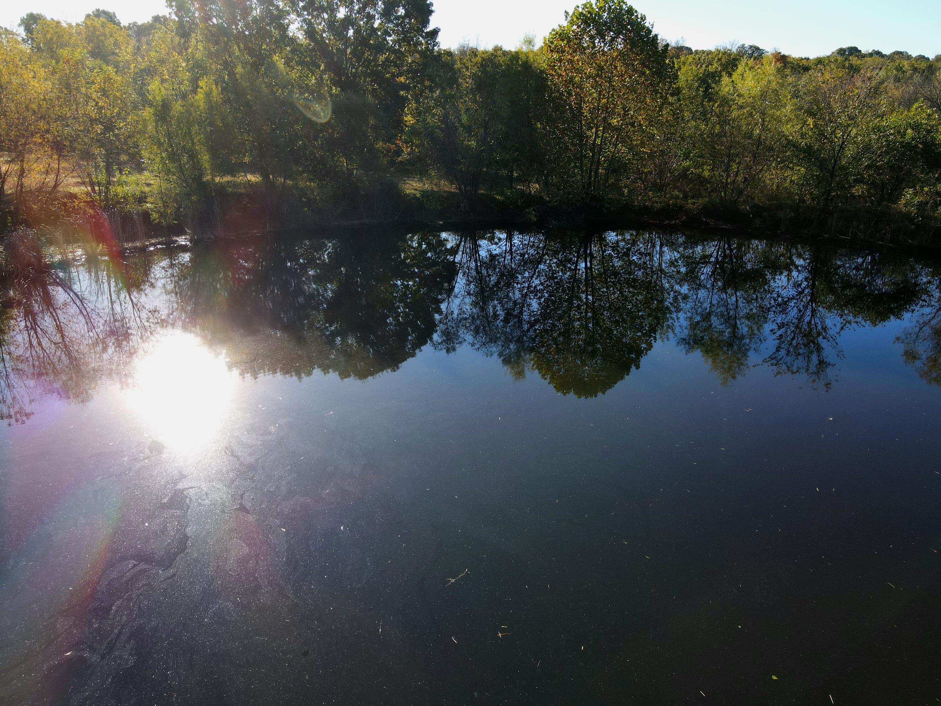 3121 South 25th Road Property Photo 19