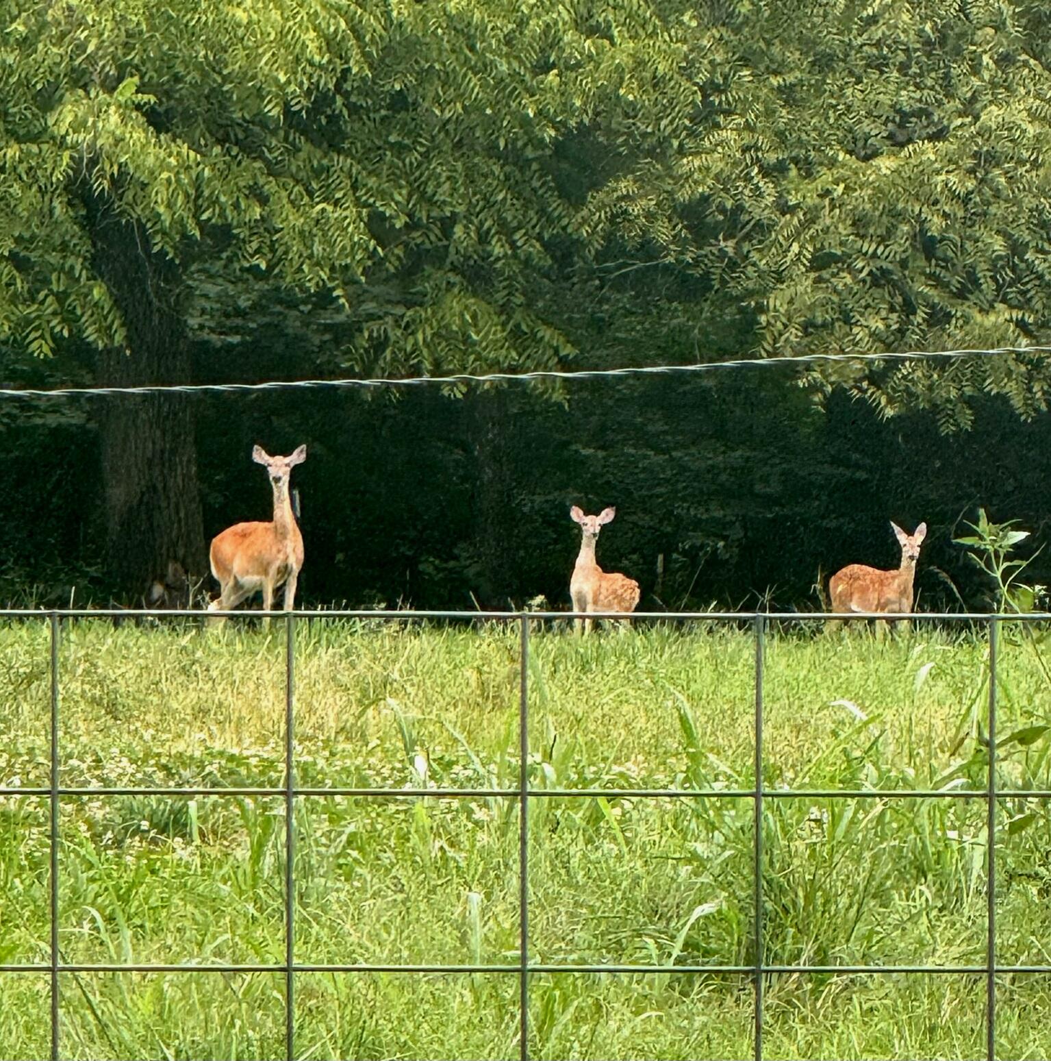 3121 South 25th Road Property Photo 21