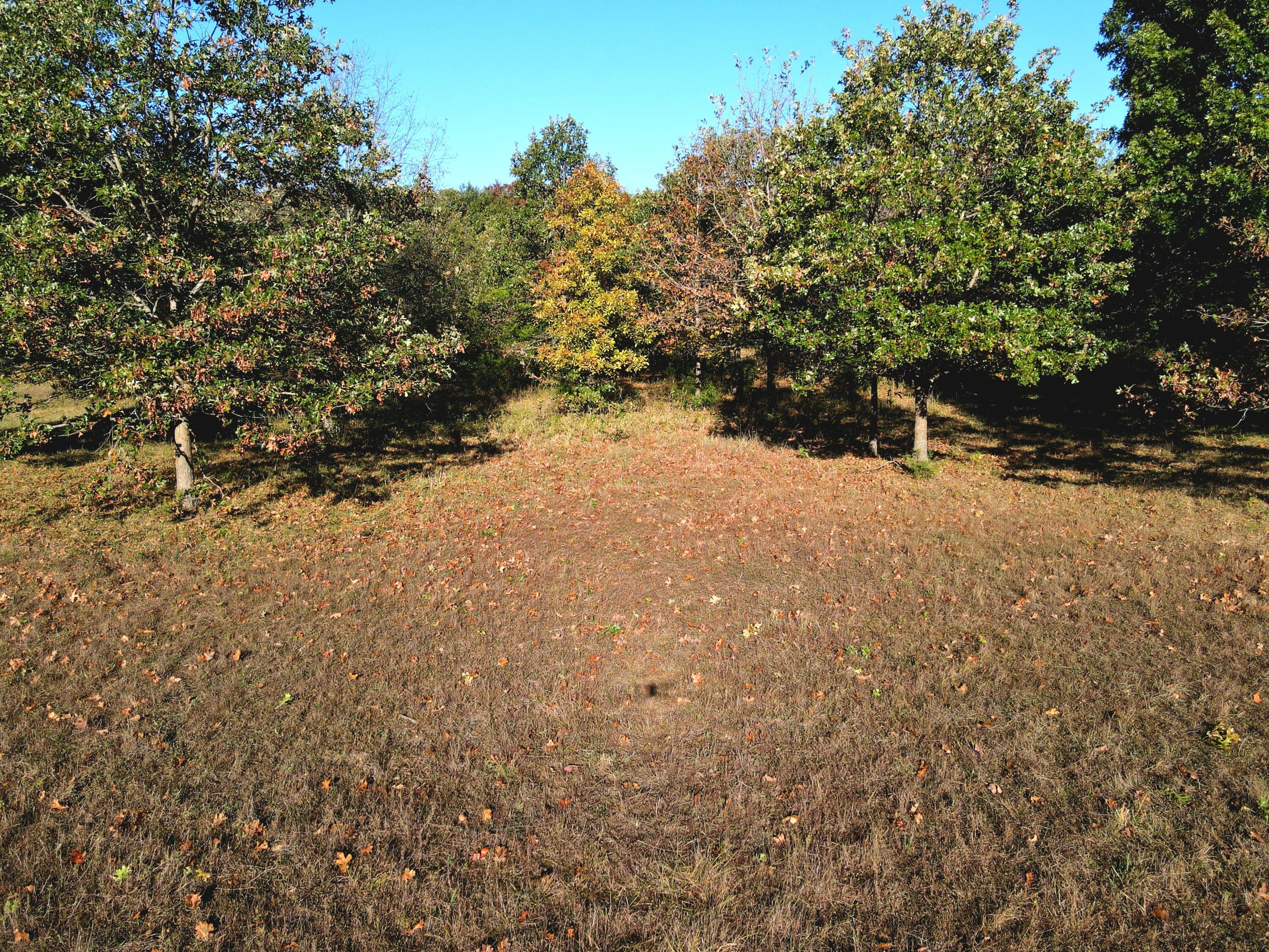 3121 South 25th Road Property Photo 26