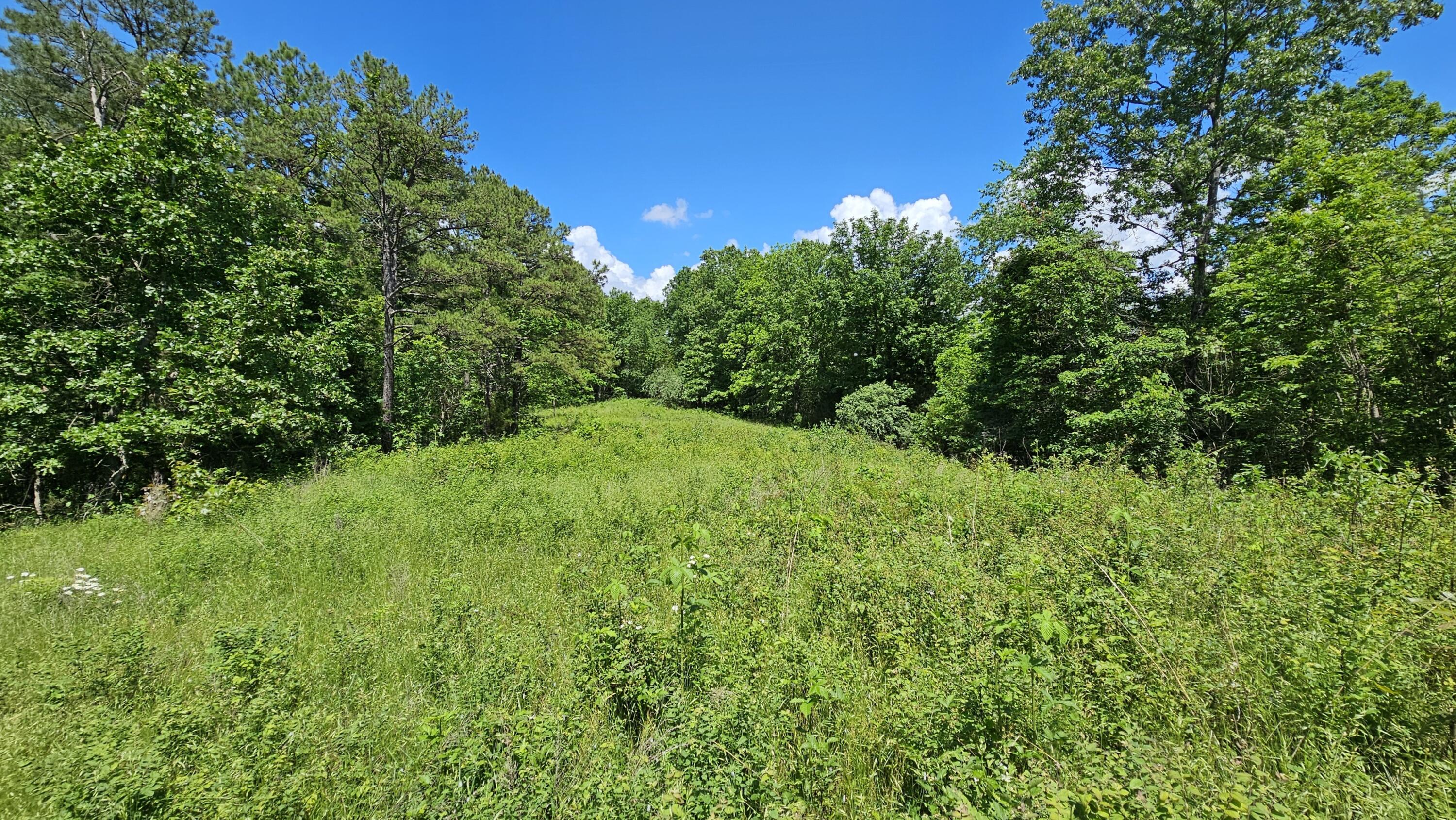 37286 County Road Ee-270 Property Photo 77