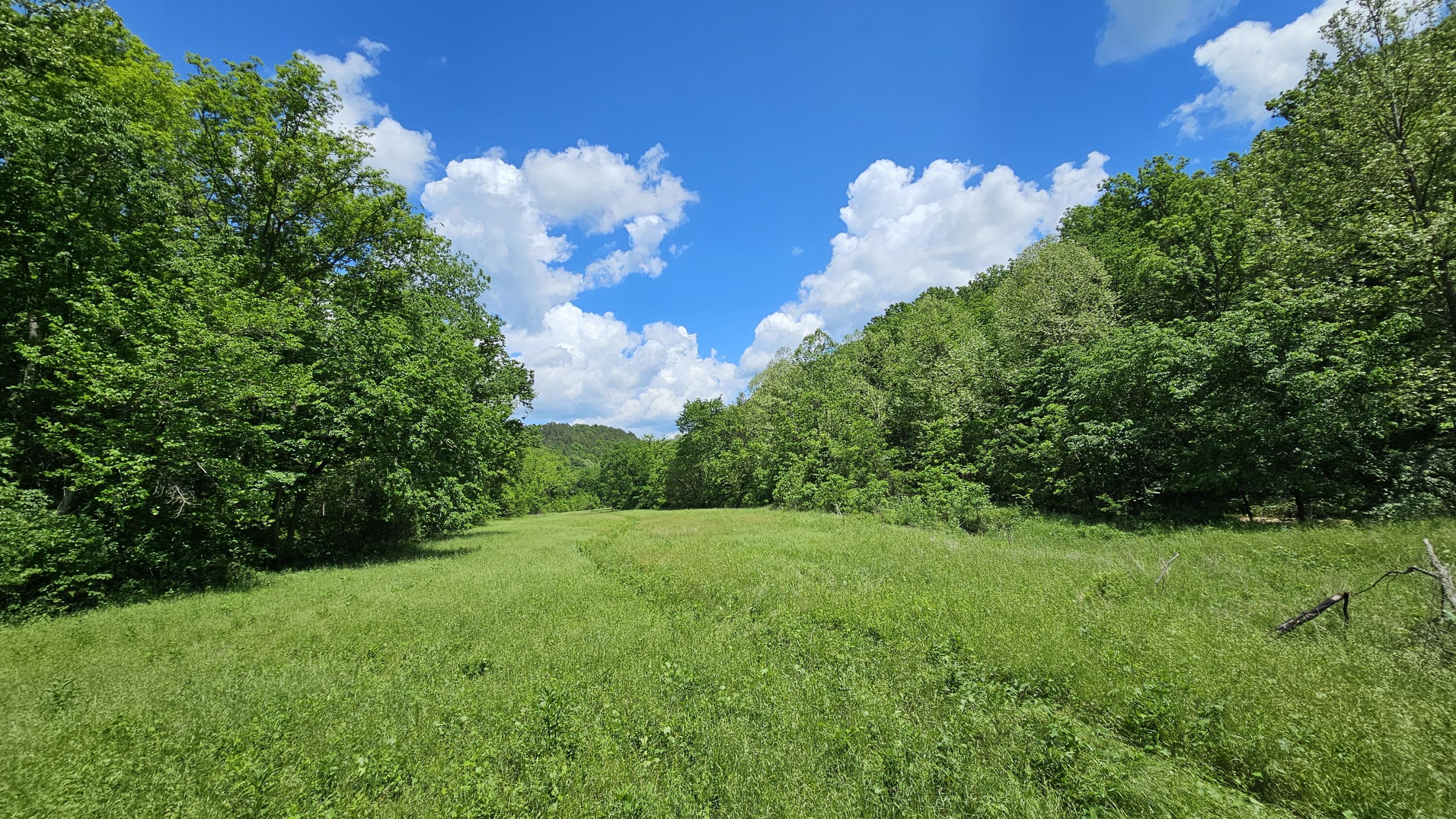 37286 County Road Ee-270 Property Photo 2