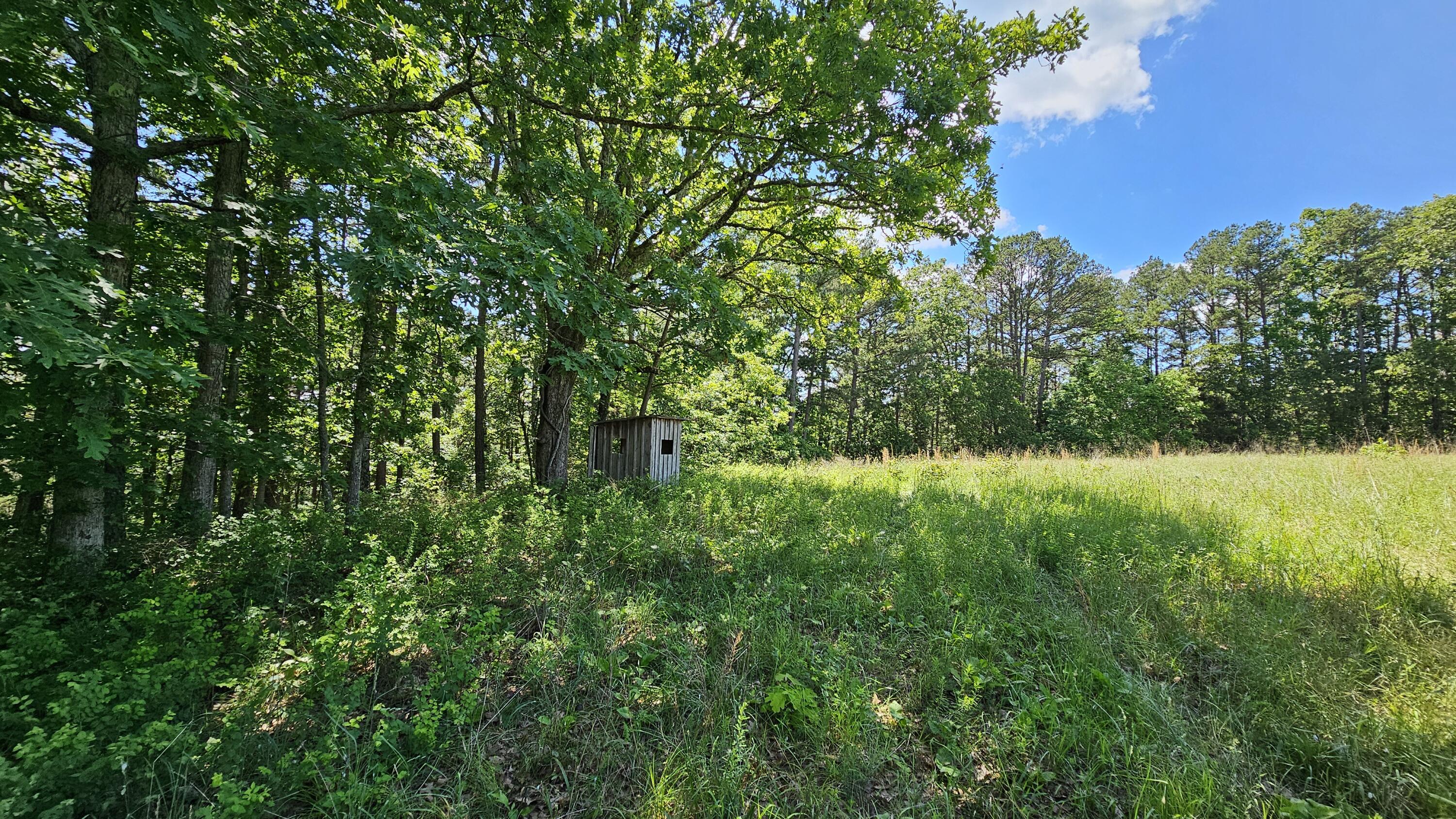 37286 County Road Ee-270 Property Photo 14