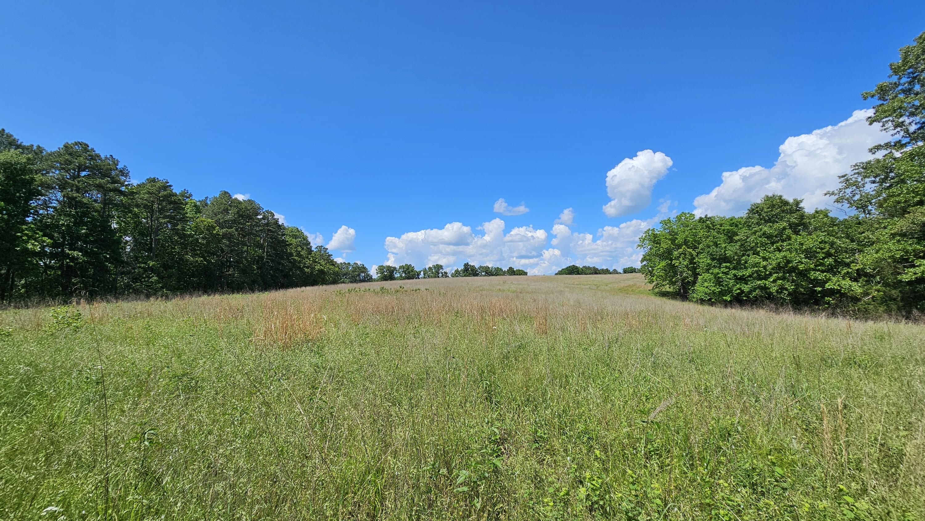 37286 County Road Ee-270 Property Photo 63