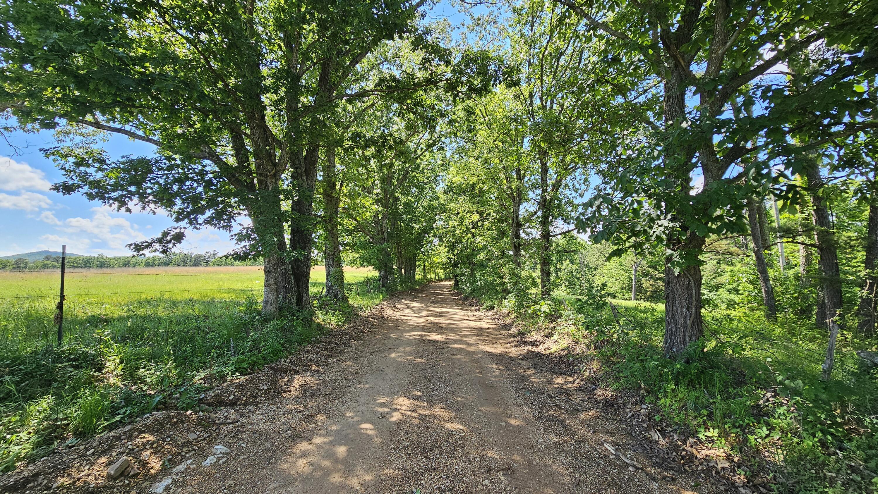 37286 County Road Ee-270 Property Photo 73