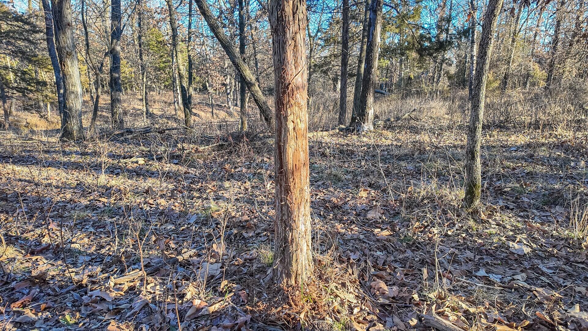 7550 Northeast 125 Road Property Photo 44