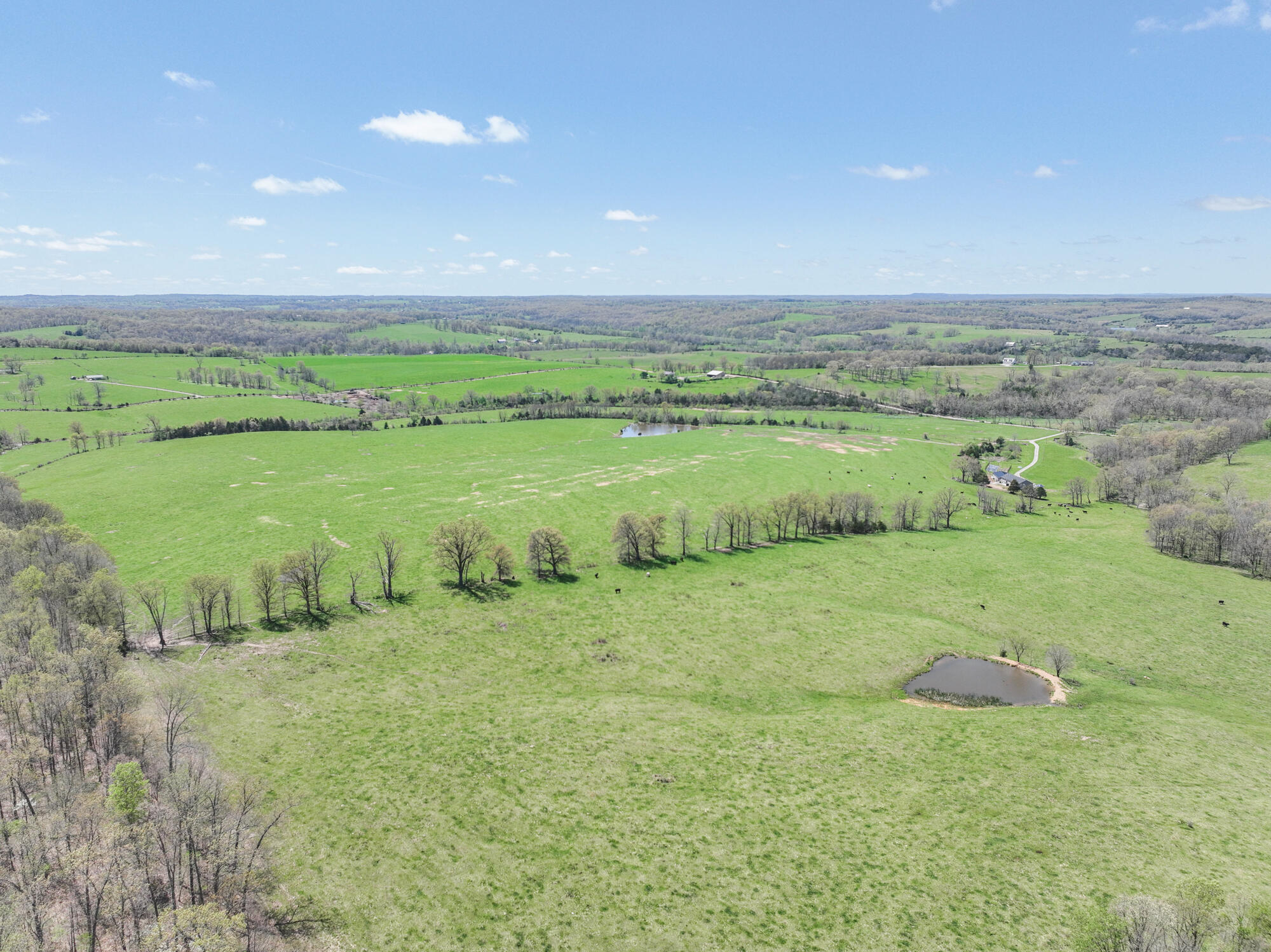 000 Welch Road Property Photo 6