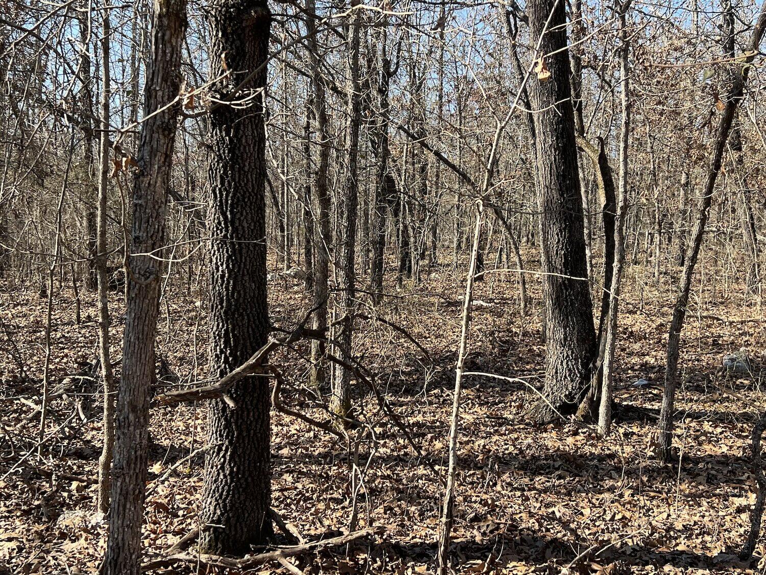 000 Starfield Trail Property Photo