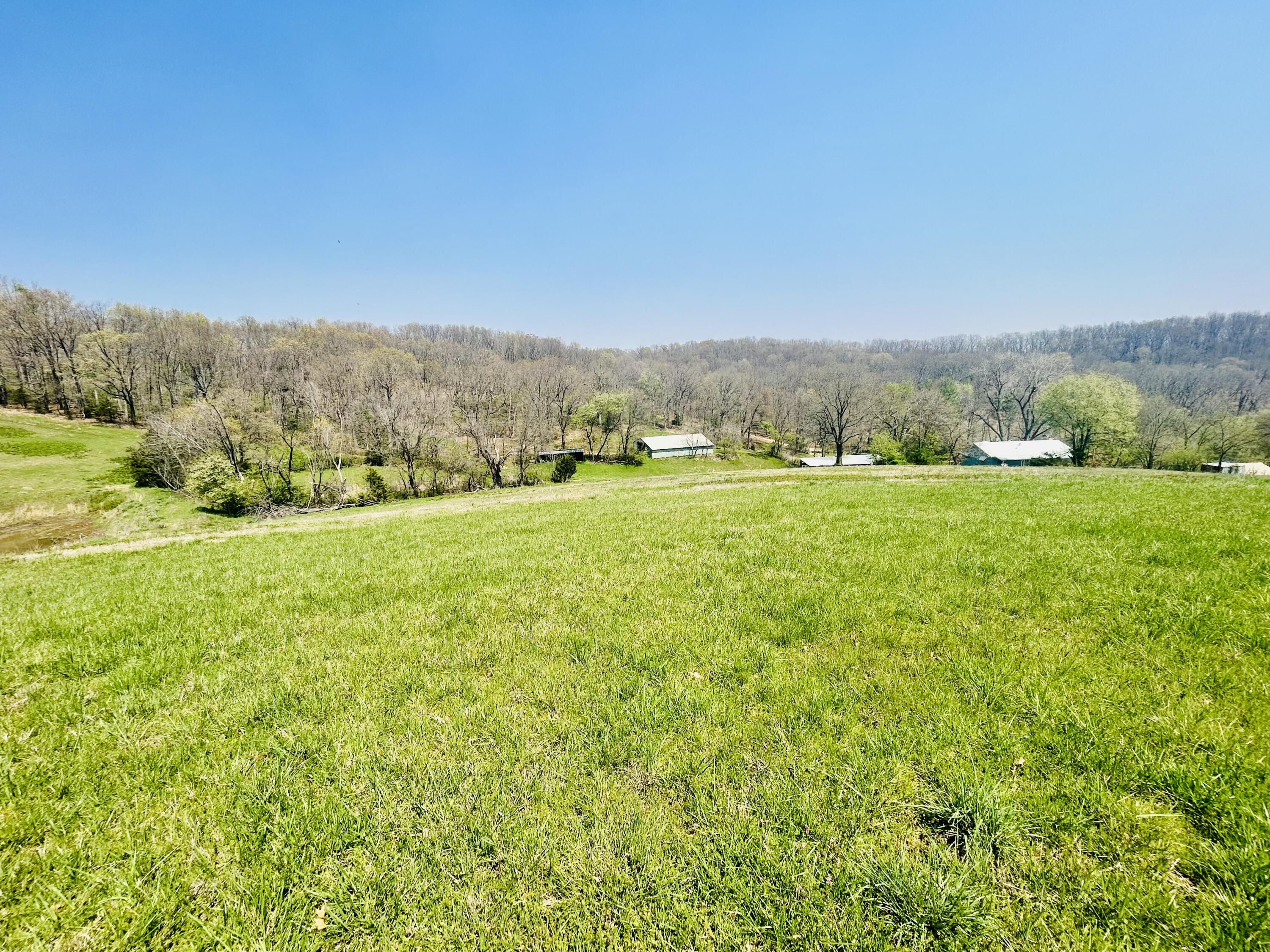253 Raven Road Property Photo 45