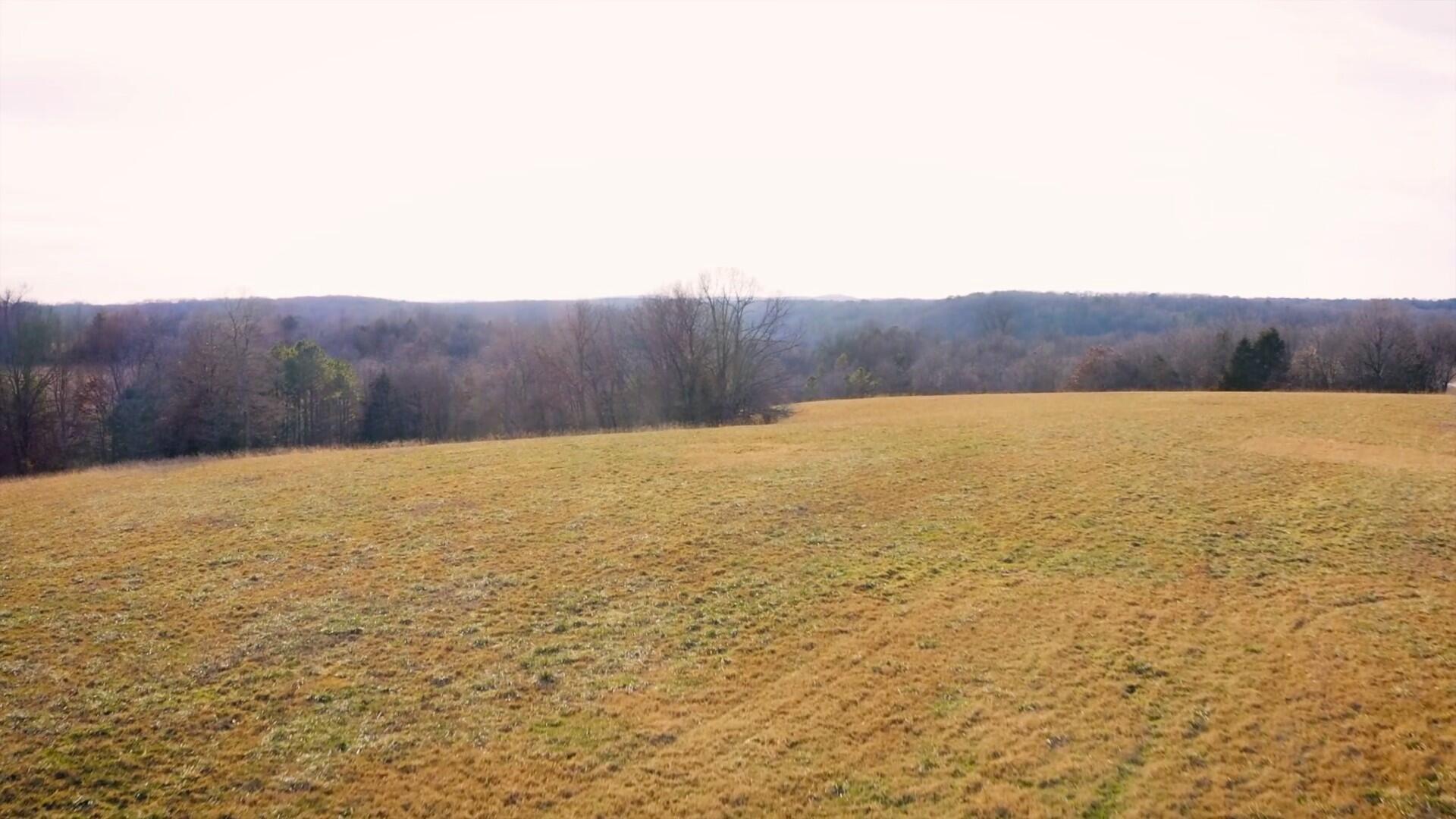 000 Ruger Road Property Photo 2