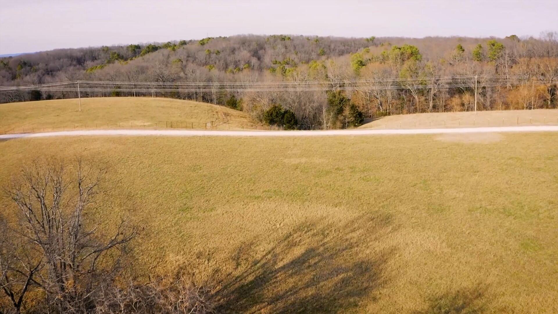 000 Ruger Road Property Photo 4