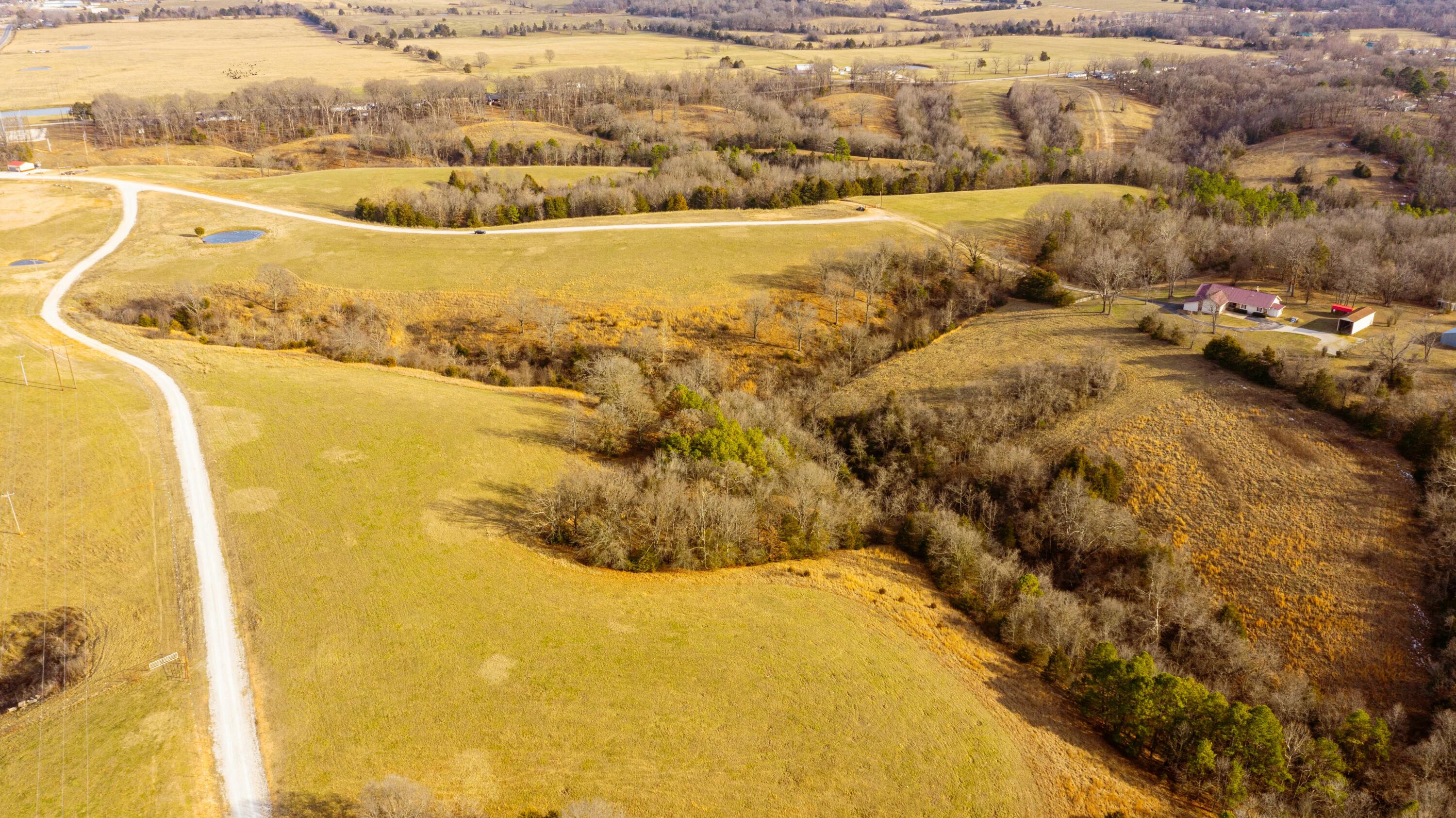 000 Ruger Road Property Photo 6