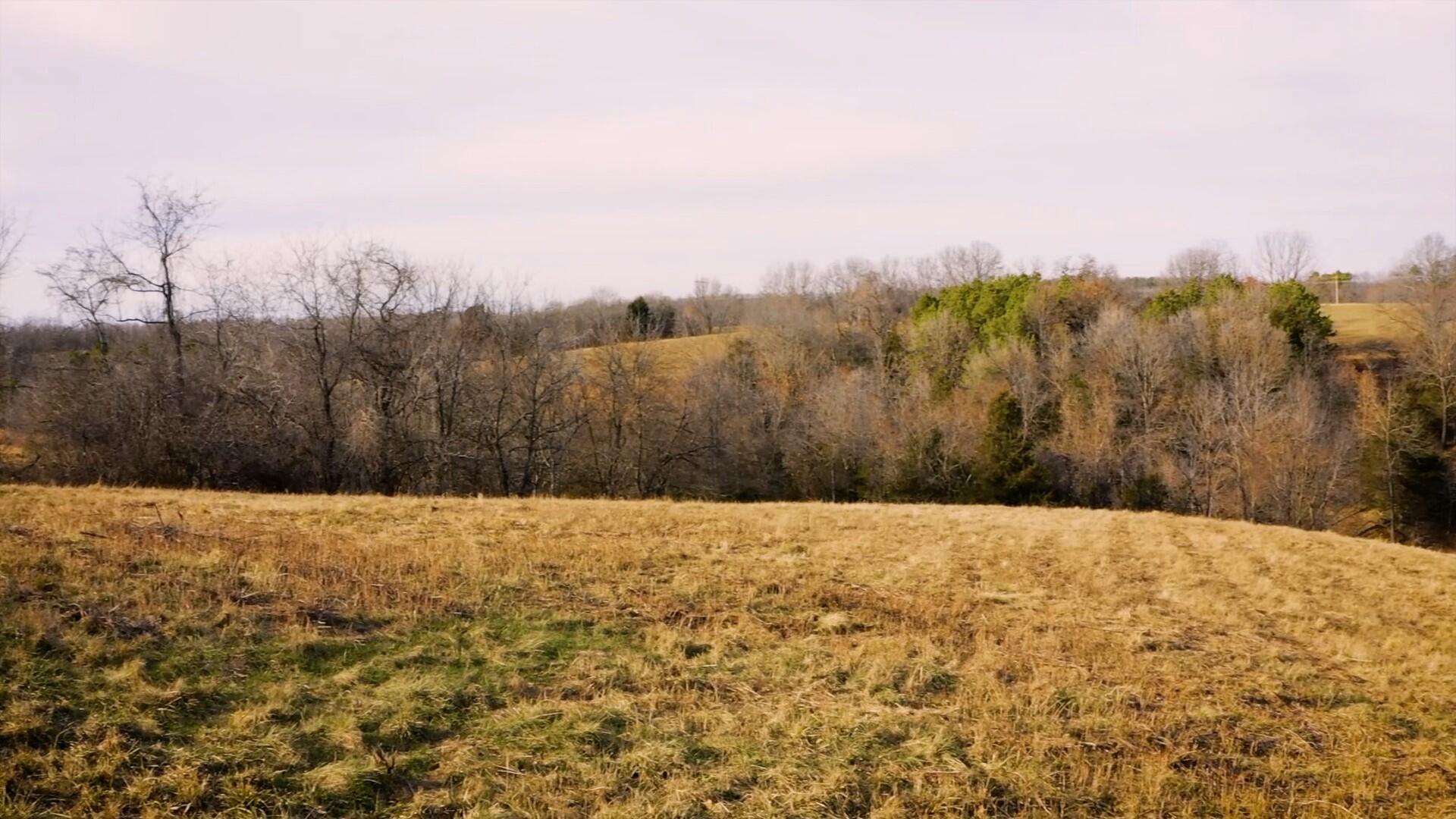 000 Ruger Road Property Photo 8