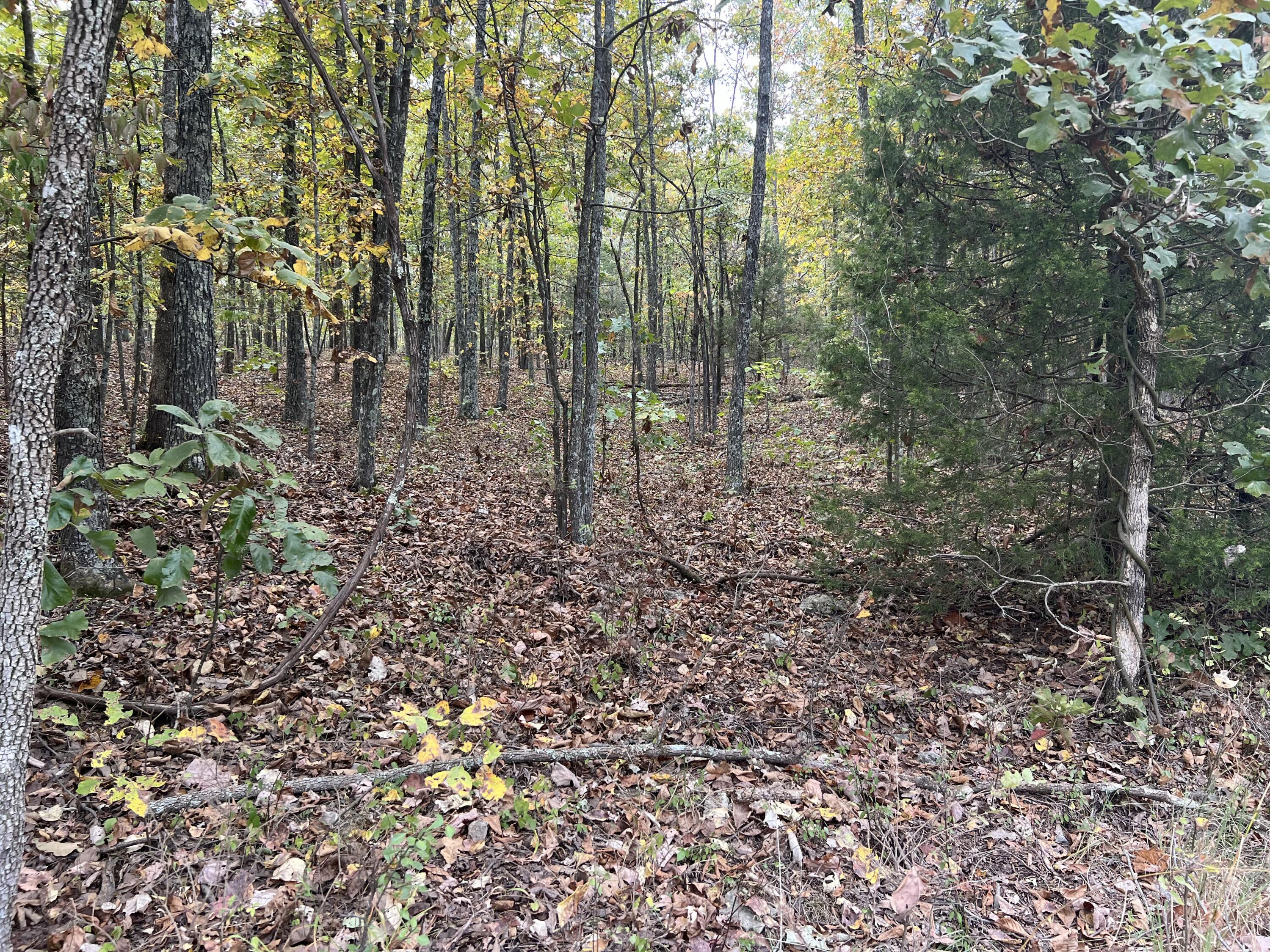 Lot 1 County Road 113 Property Photo 8