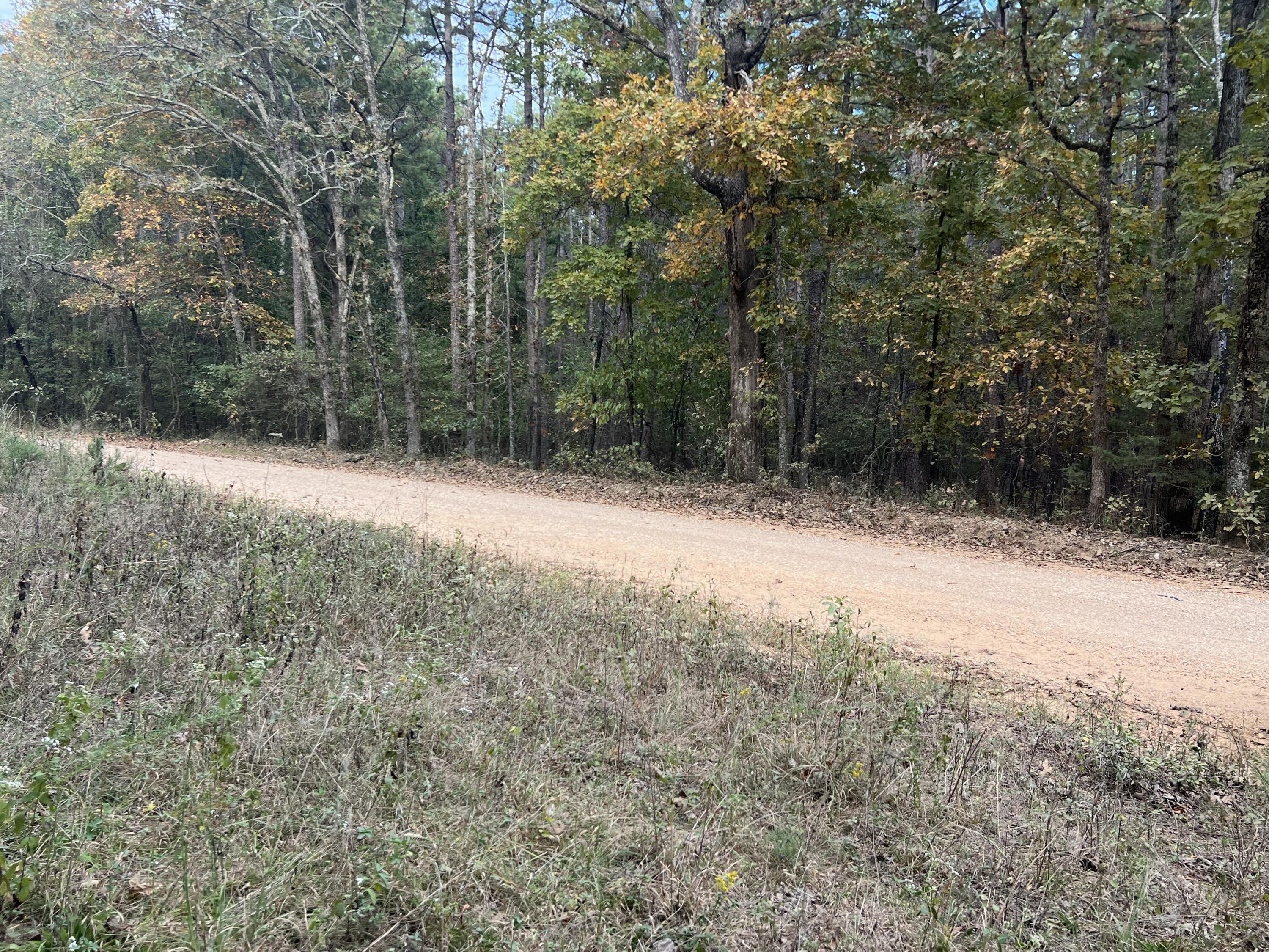 Lot 3 County Road 113 Property Photo 2