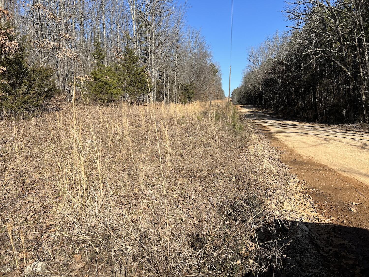 Lot 3 County Road 113 Property Photo 4
