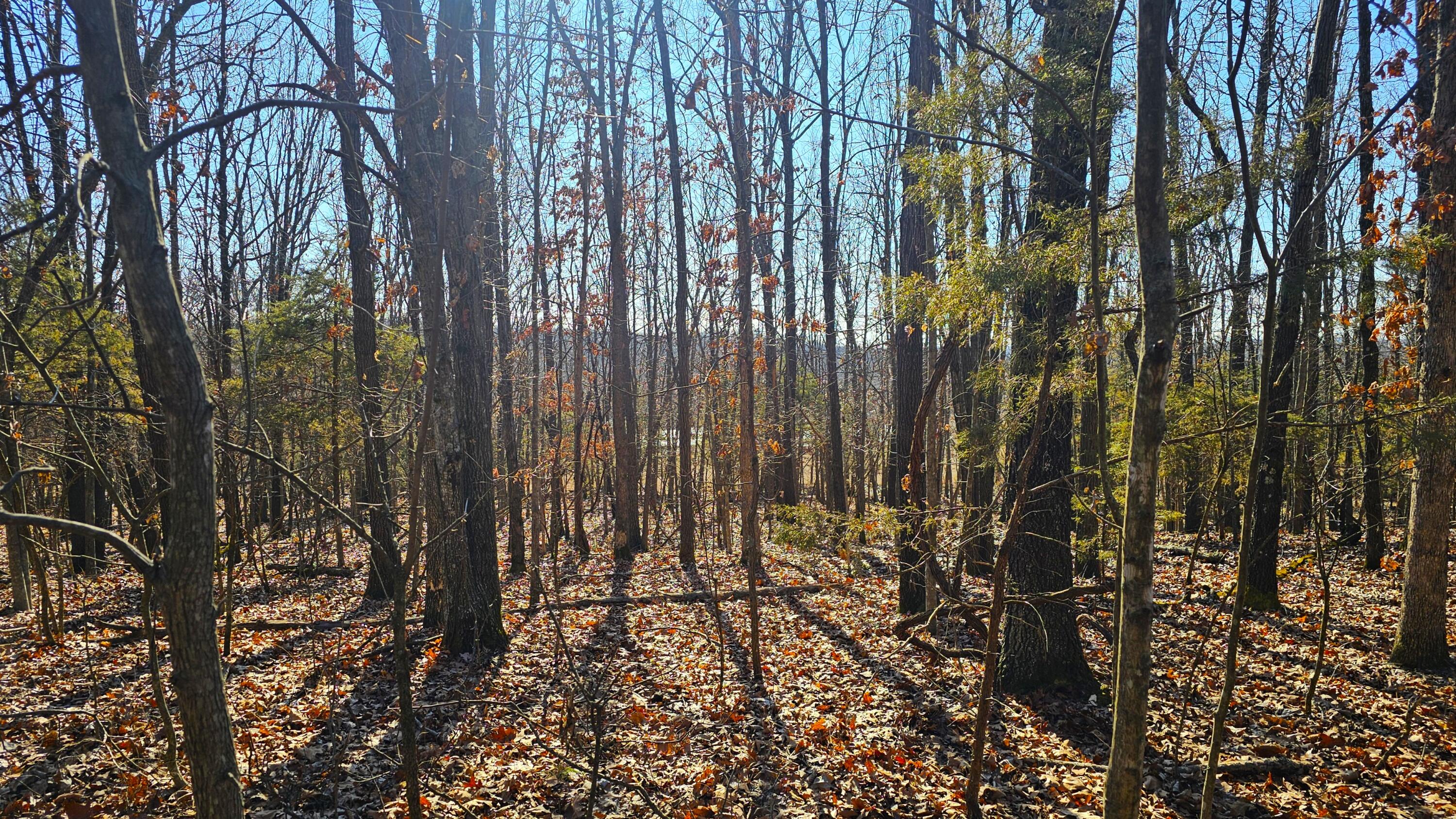 000 South 25th Road Property Photo 15