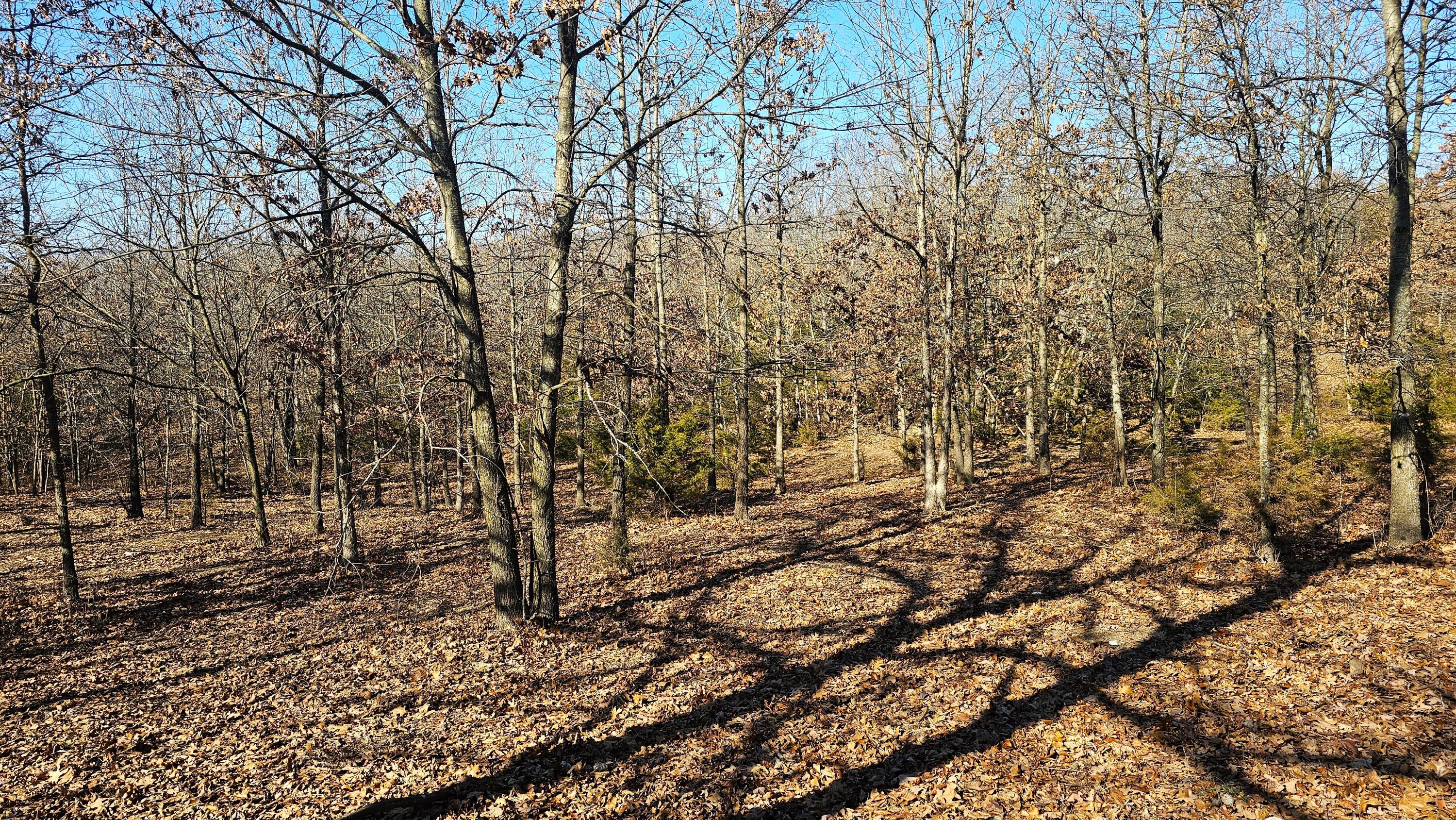 000 South 25th Road Property Photo 17