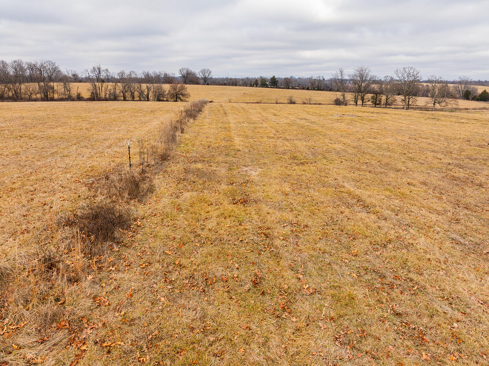 2596 State Highway K Property Photo 7