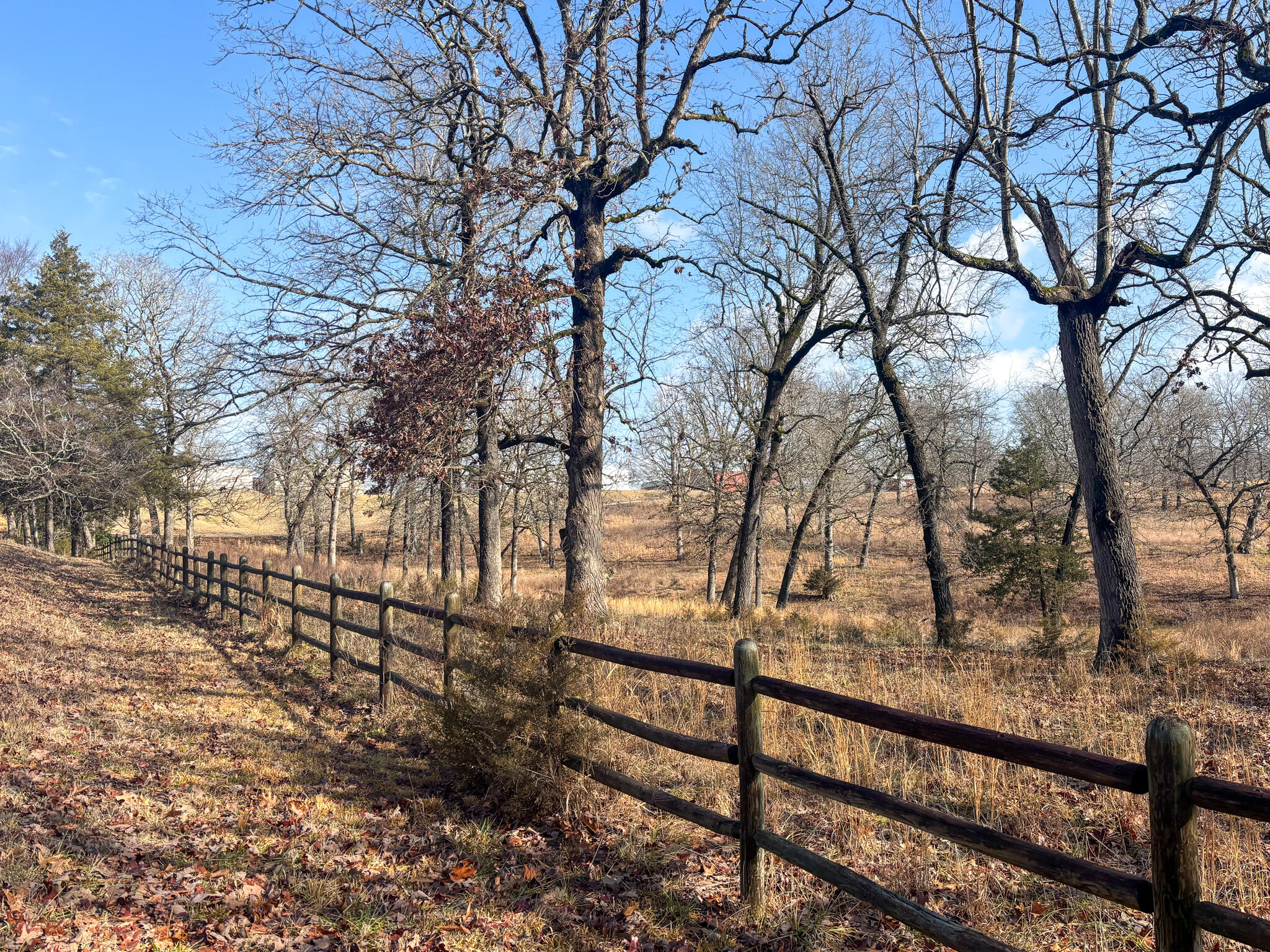 000 County Road 640 Property Photo 6