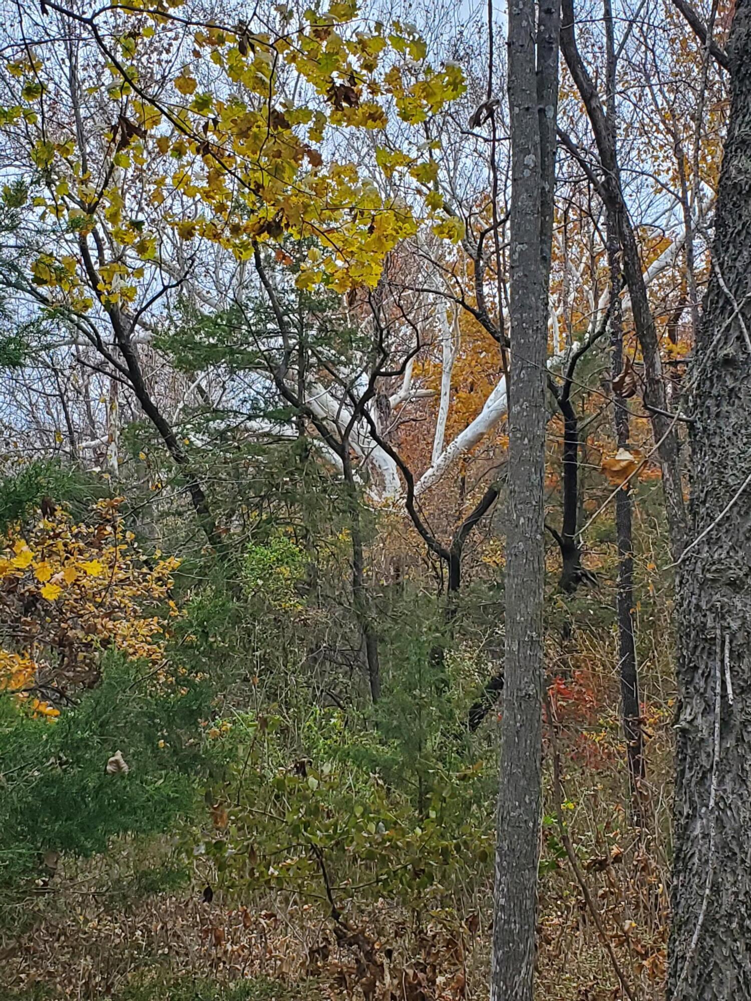 4775 South 50th Rd Road Property Photo 51