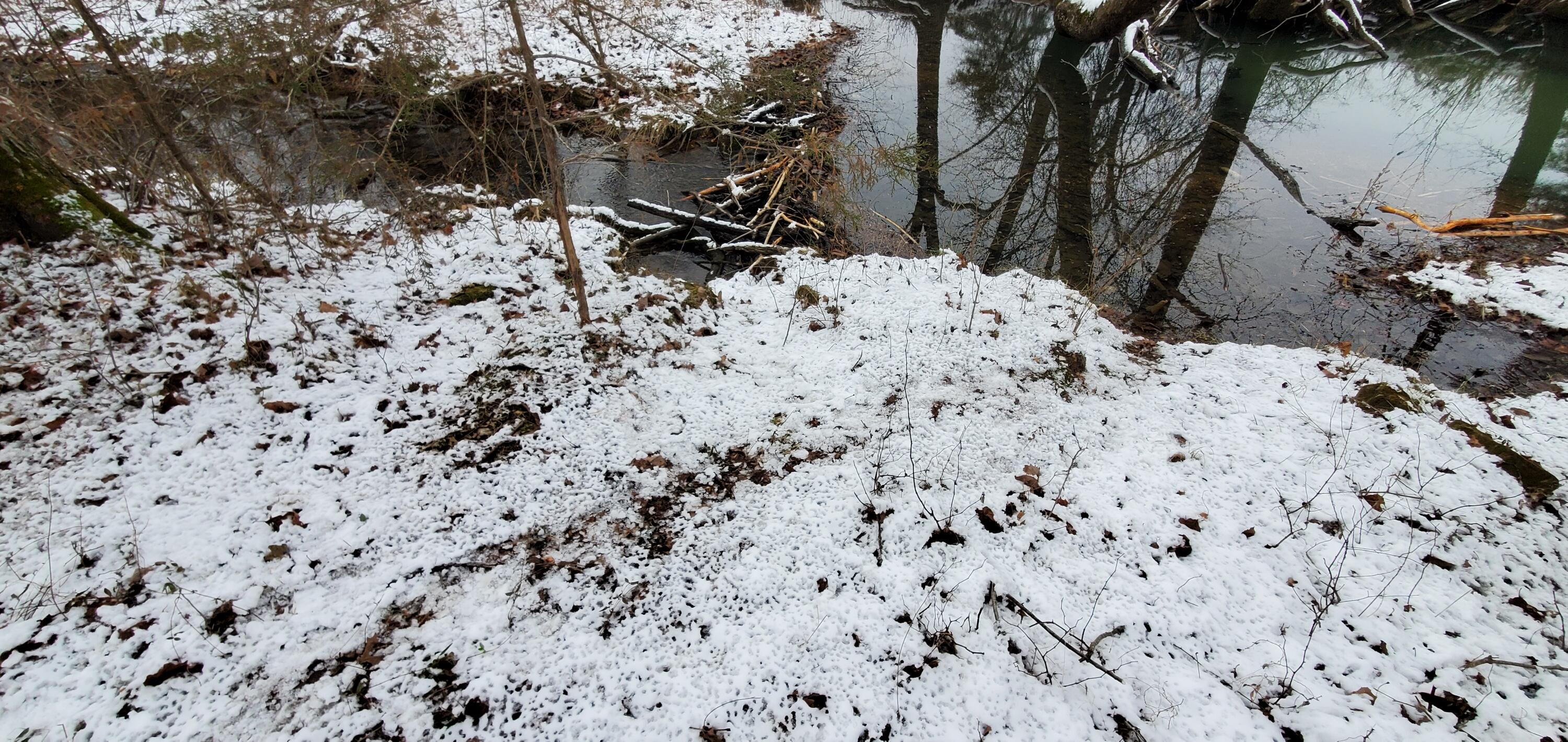 4775 South 50th Rd Road Property Photo 125