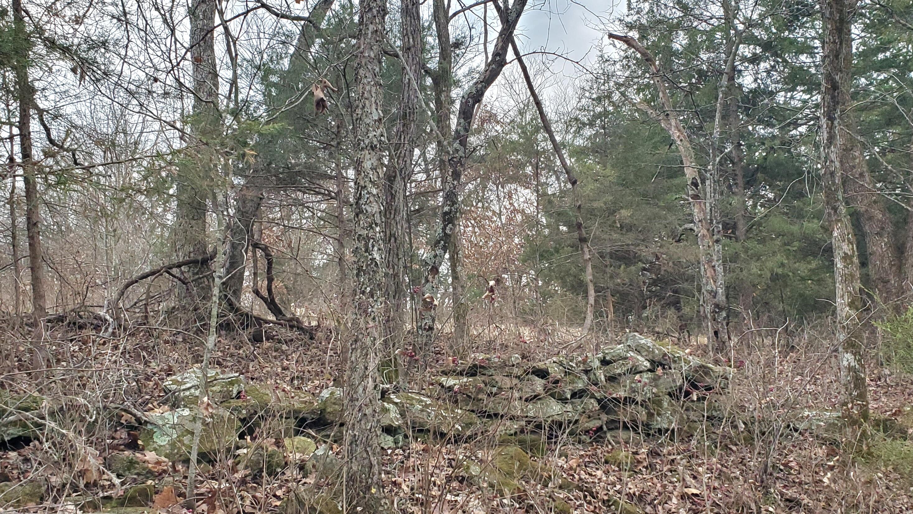 4775 South 50th Rd Road Property Photo 199