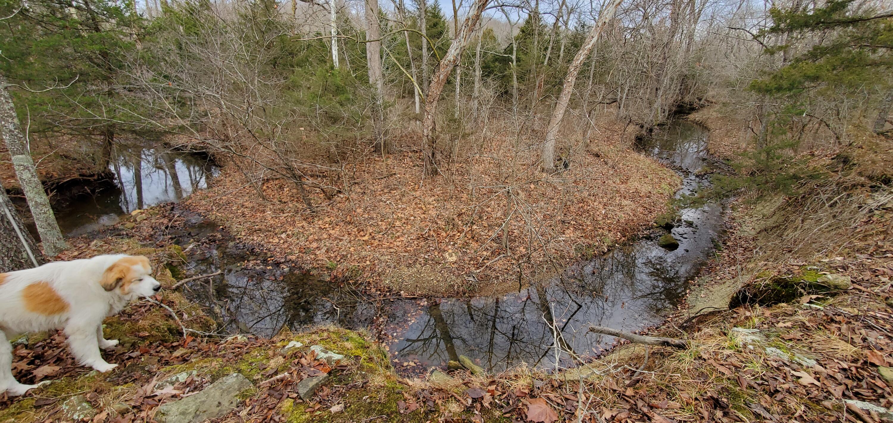 4775 South 50th Road Property Photo 8