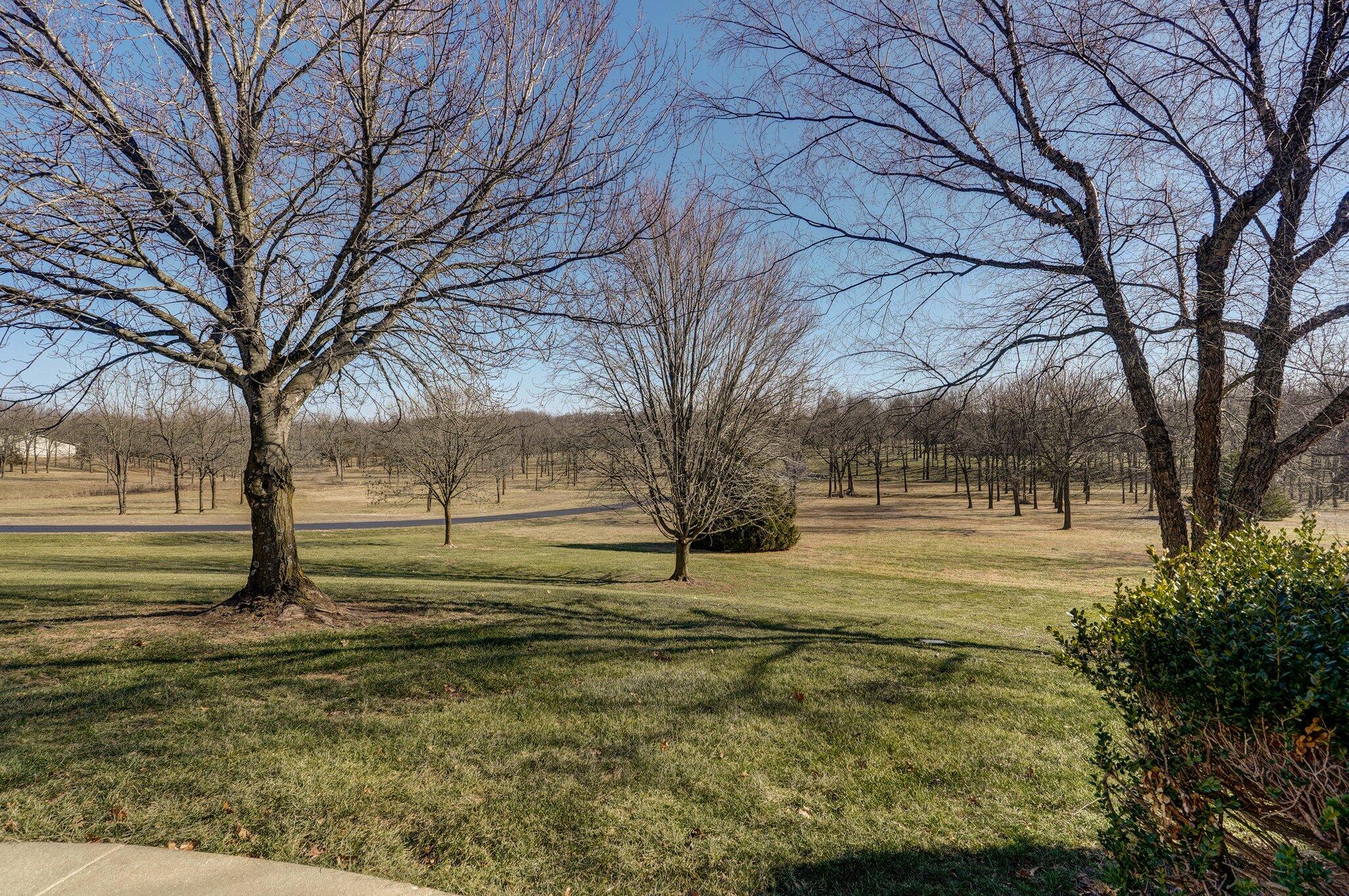 3617 South Moonlit Lane Property Photo 70