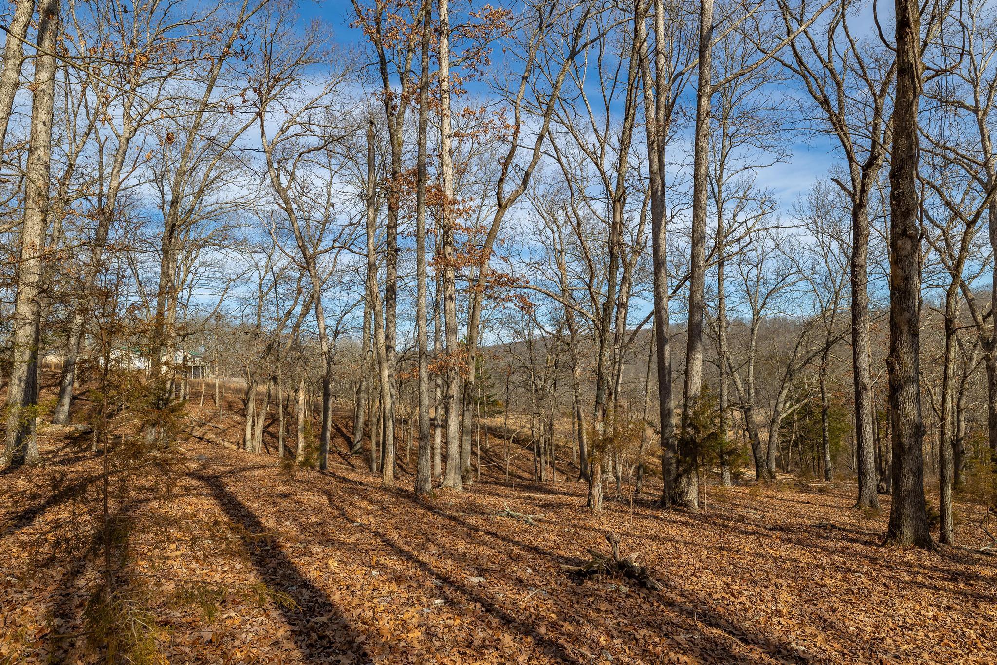 24816 Co Property Photo 62