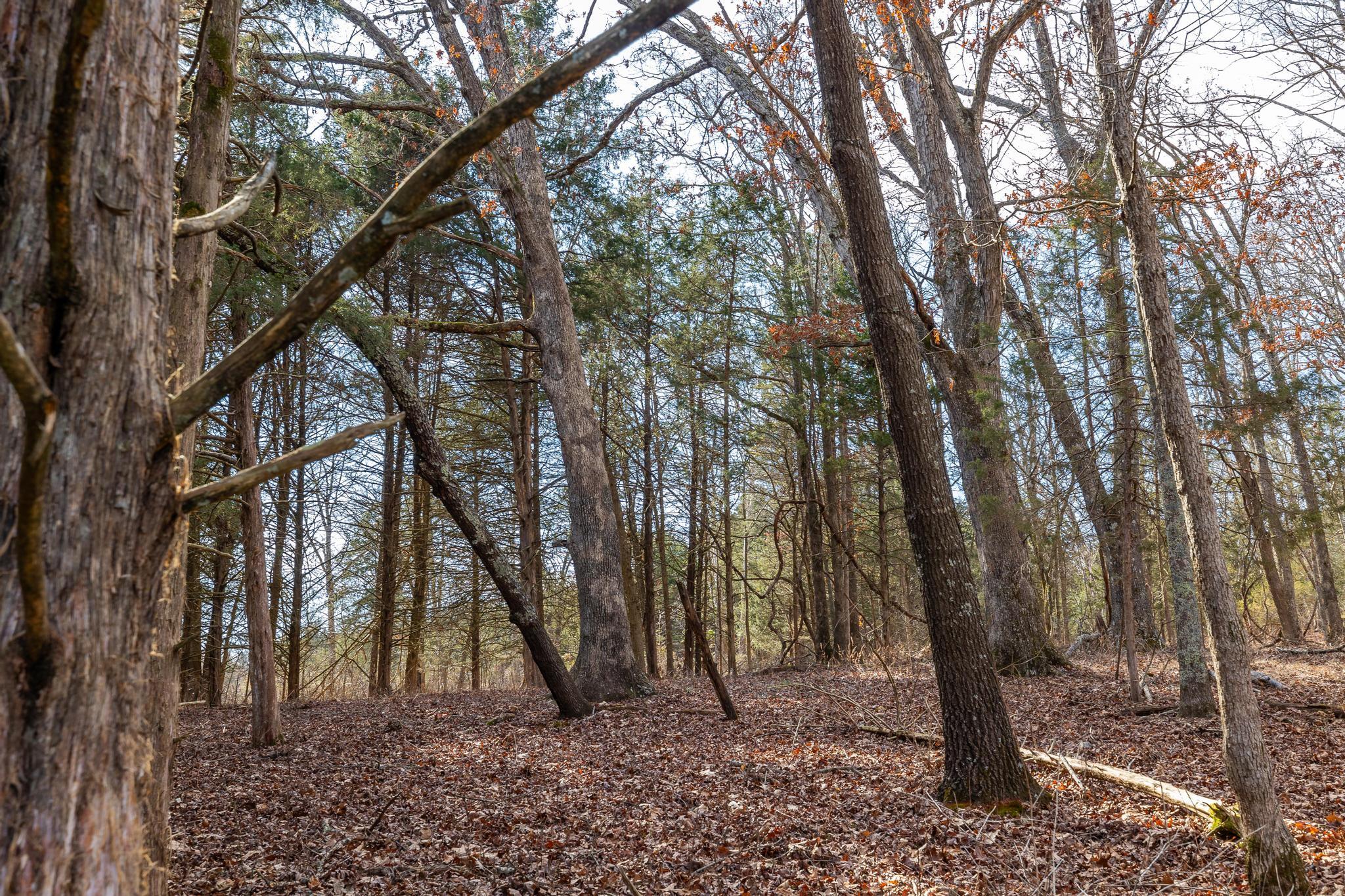 24816 Co Property Photo 64