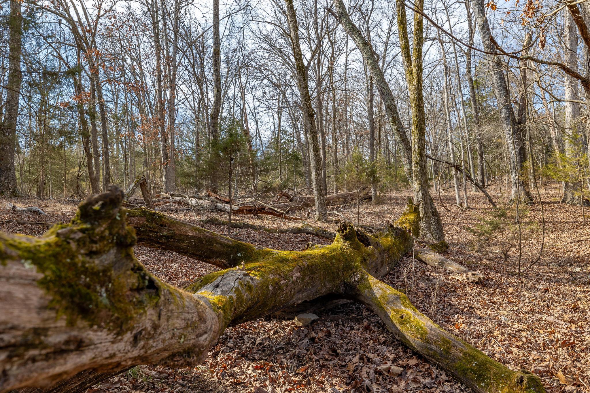 24816 Co Property Photo 65