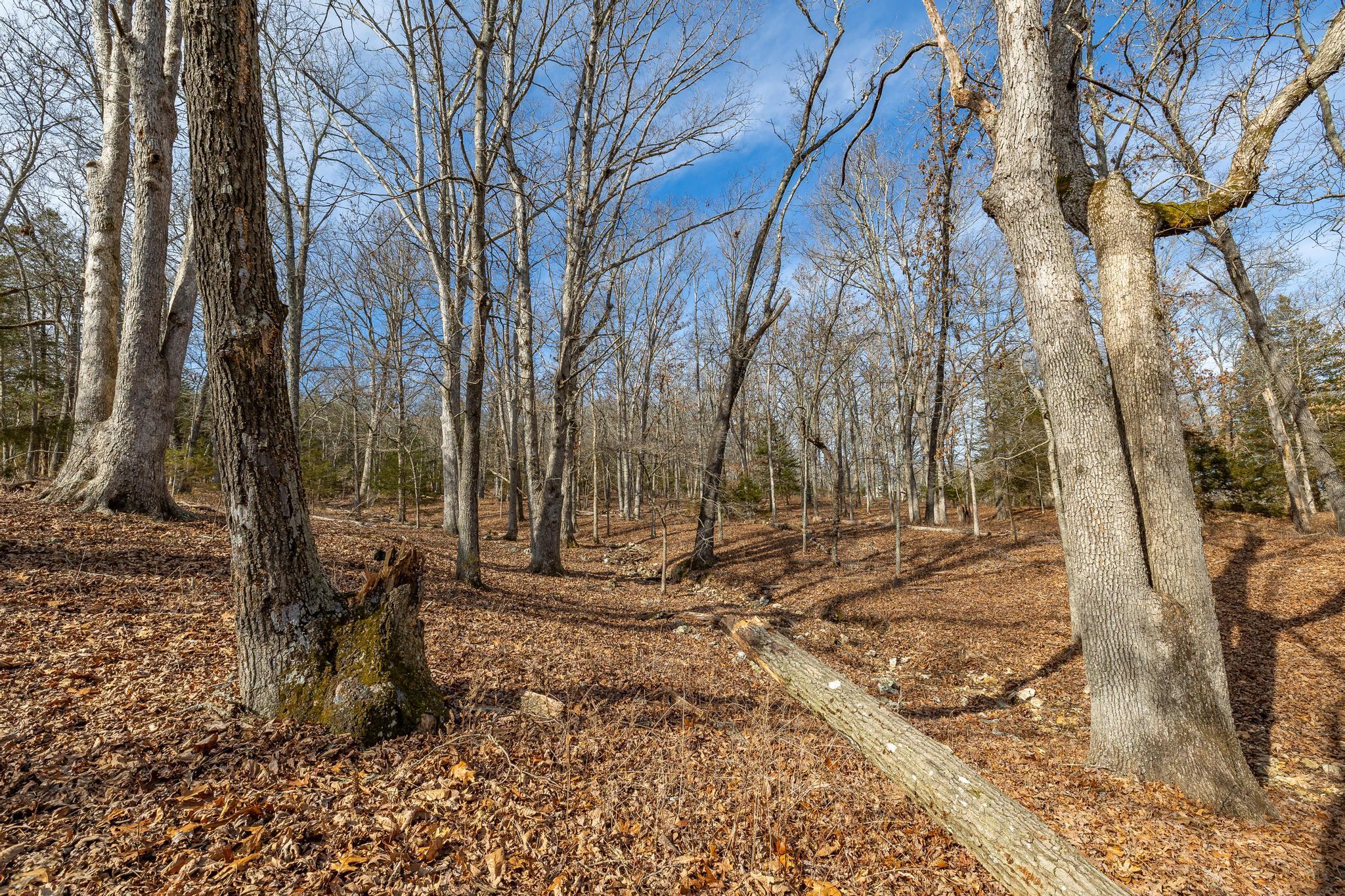 24816 Co Property Photo 66