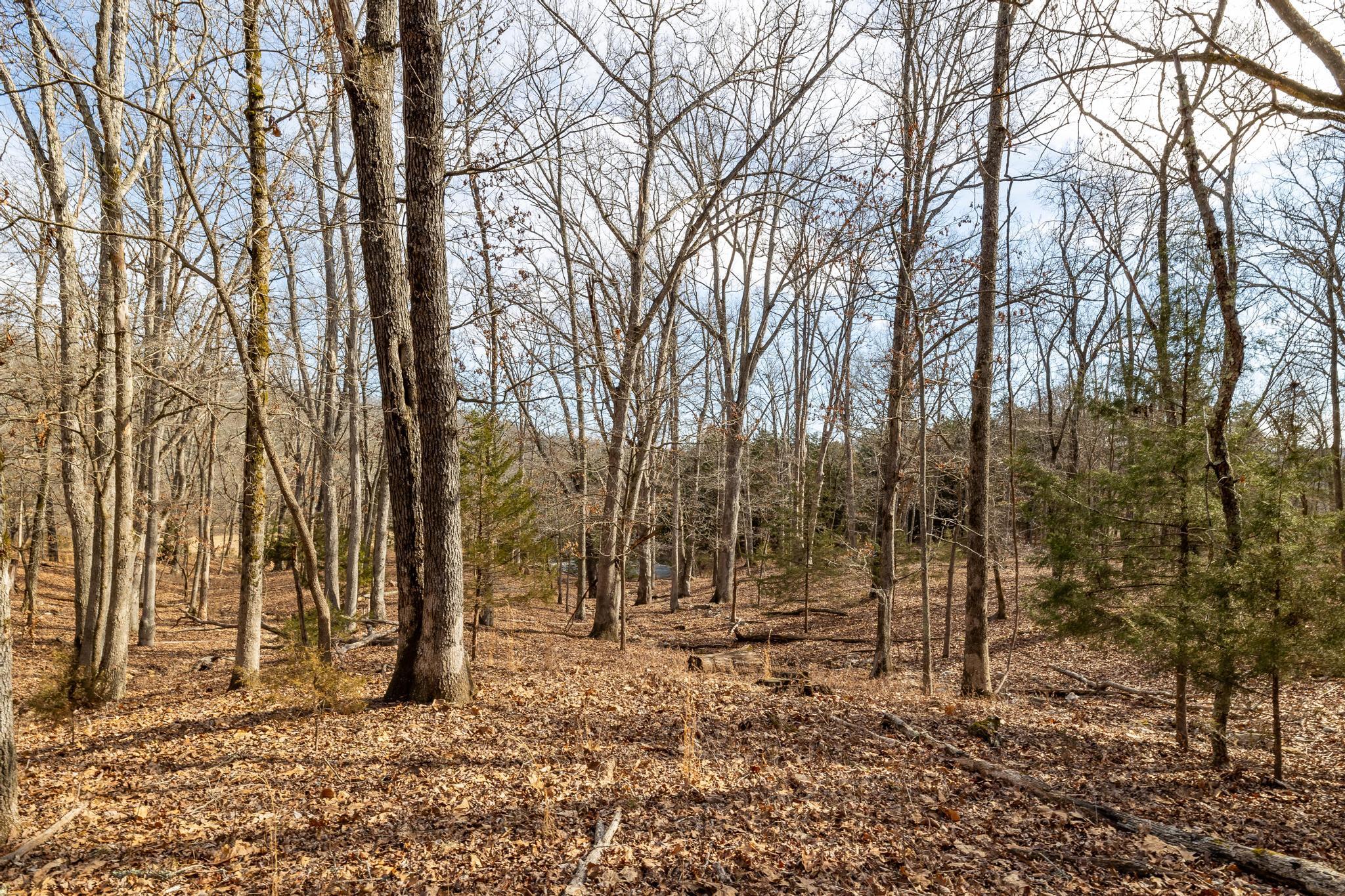 24816 Co Property Photo 67