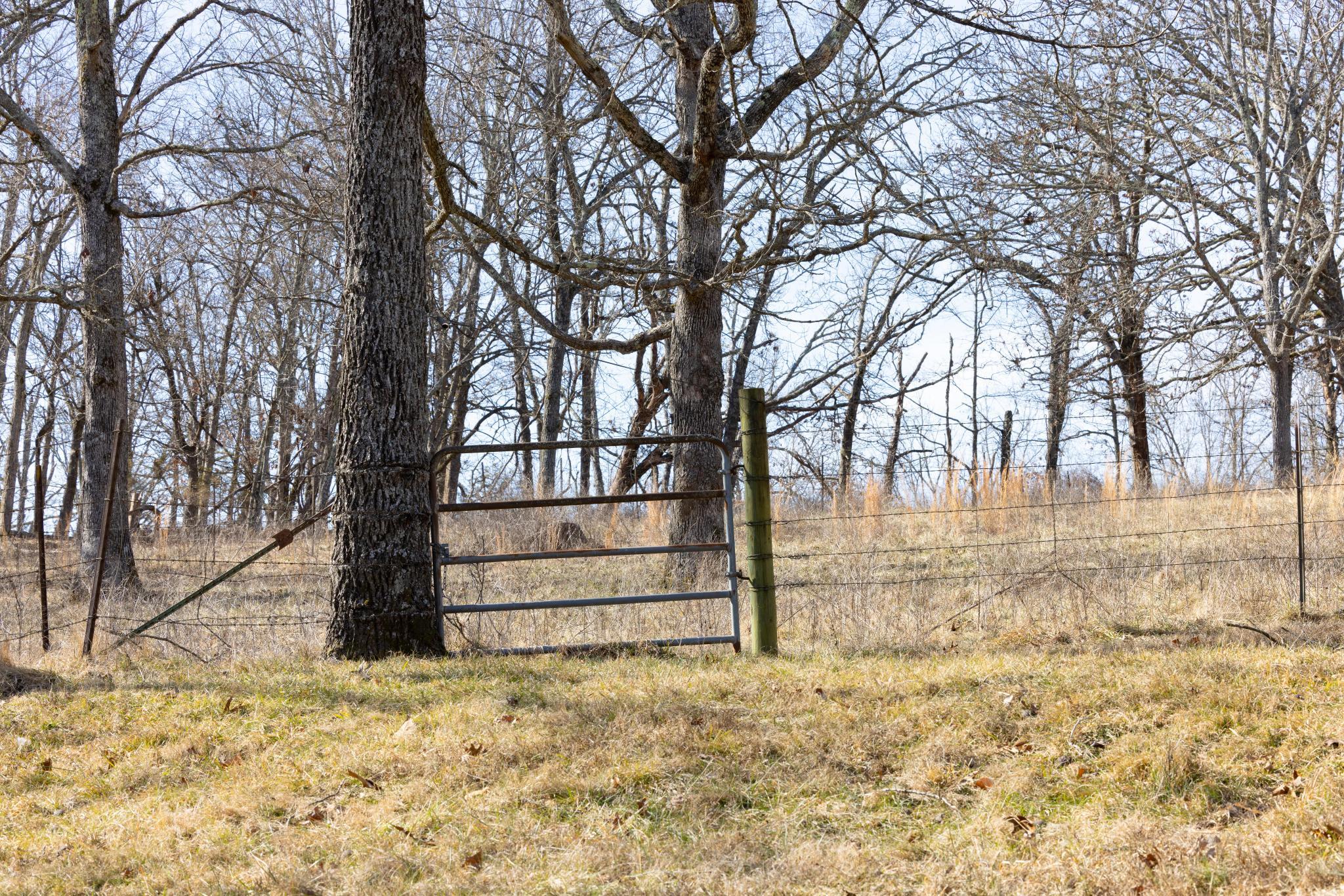 24816 Co Property Photo 74