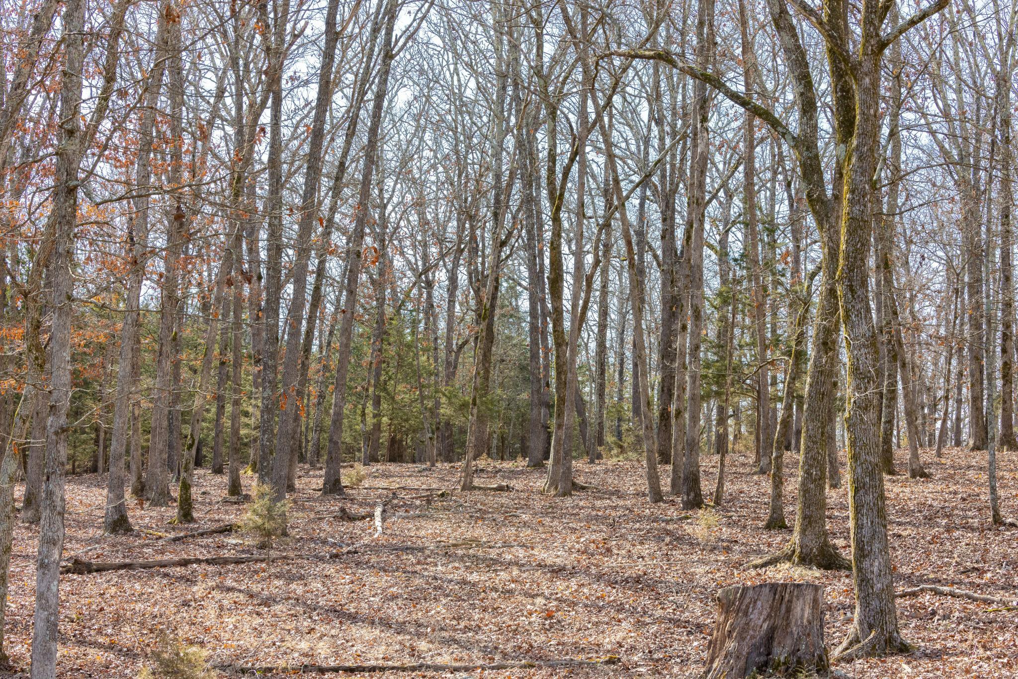 24816 Co Property Photo 75