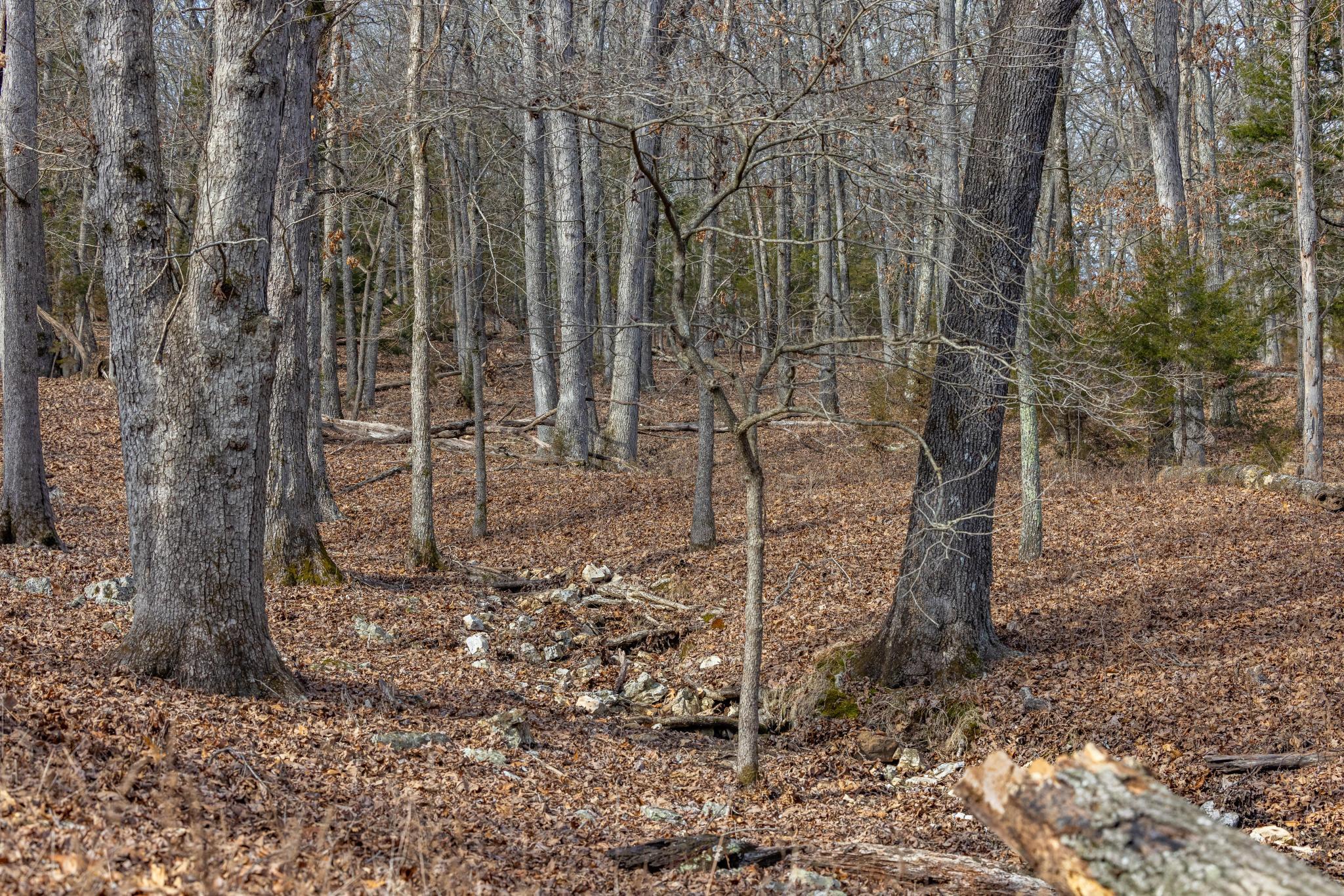 24816 Co Property Photo 78